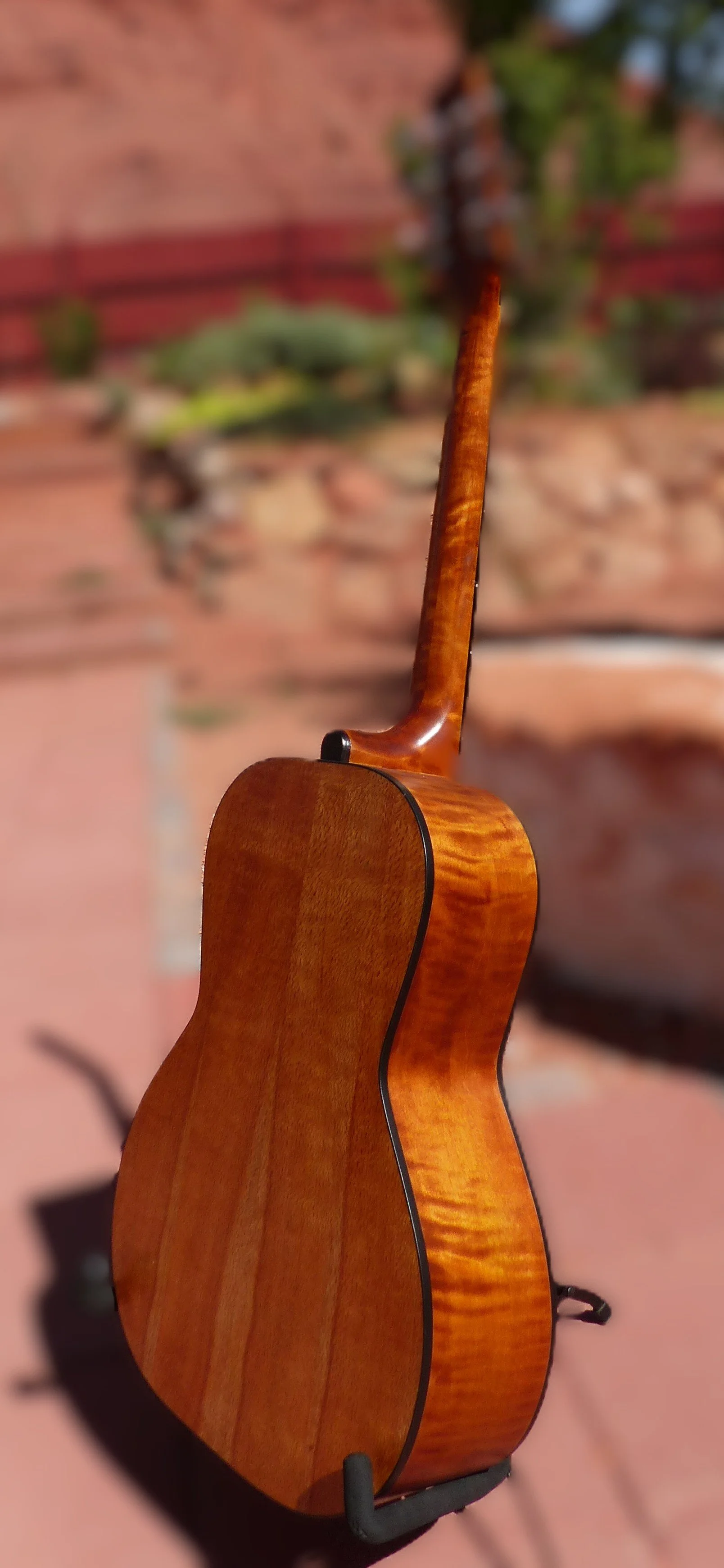 mandola cropped and blurred.JPG