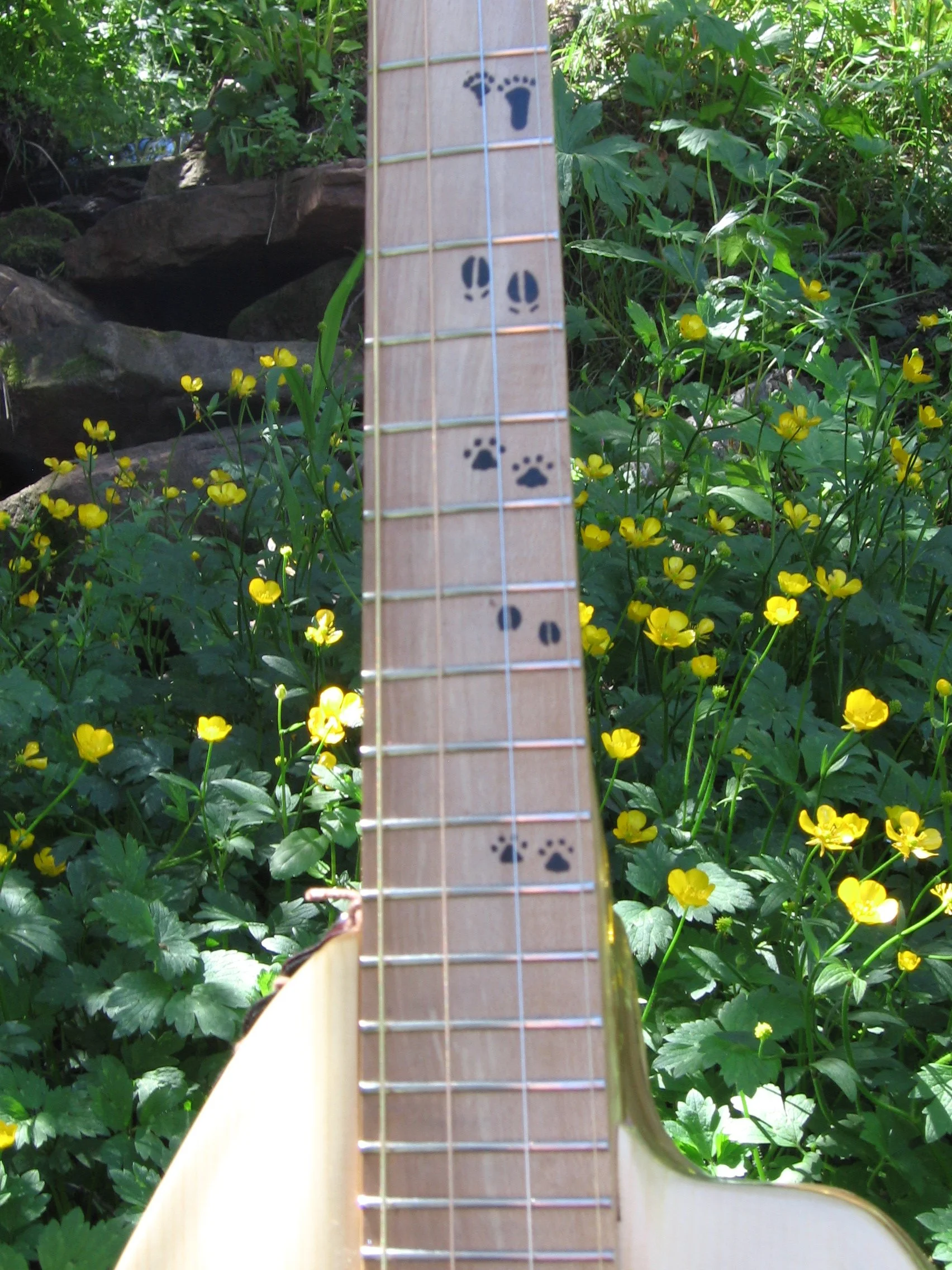 custom made tenor guitar from spruce burl, animal prints of ebony on maple fretboard. Hand carved by Elaine Moulton, luthier at Immortal Guitars.