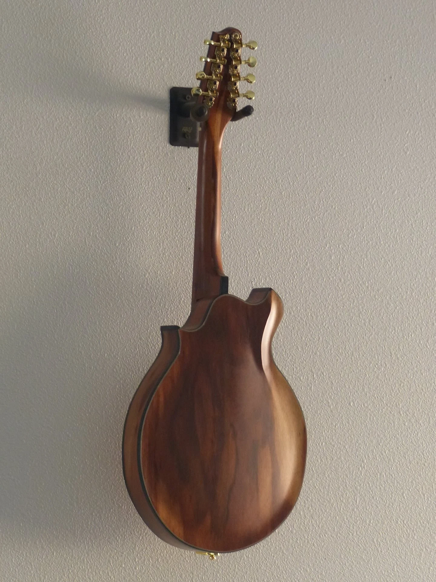 mandola back hanging 2.jpg