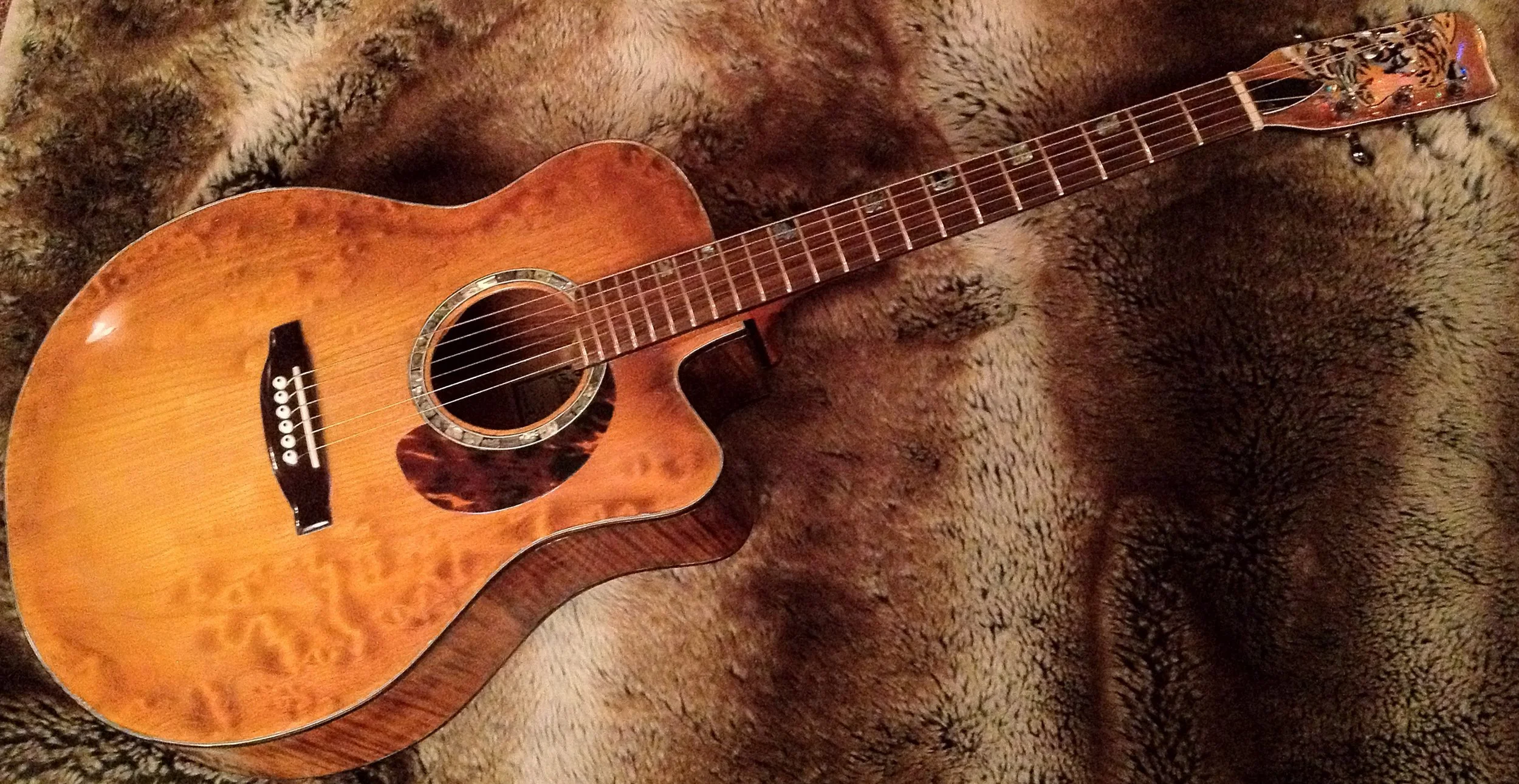 Copy (1) of Tiger Guitar Back_edited.JPG