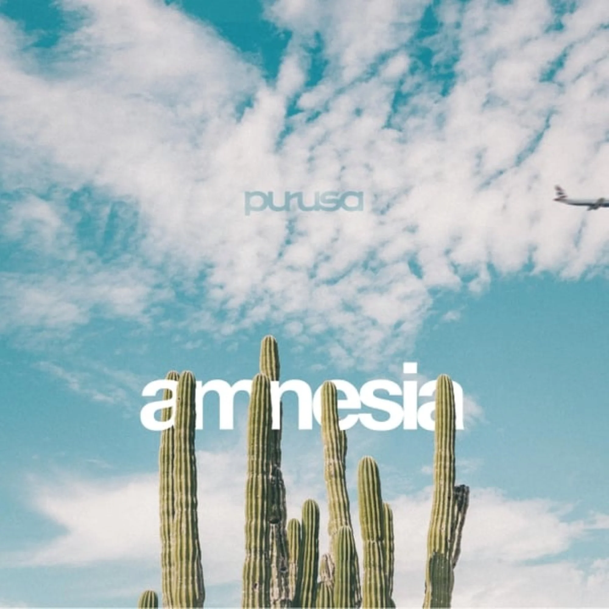 Purusa - Amnesia Vinyl
