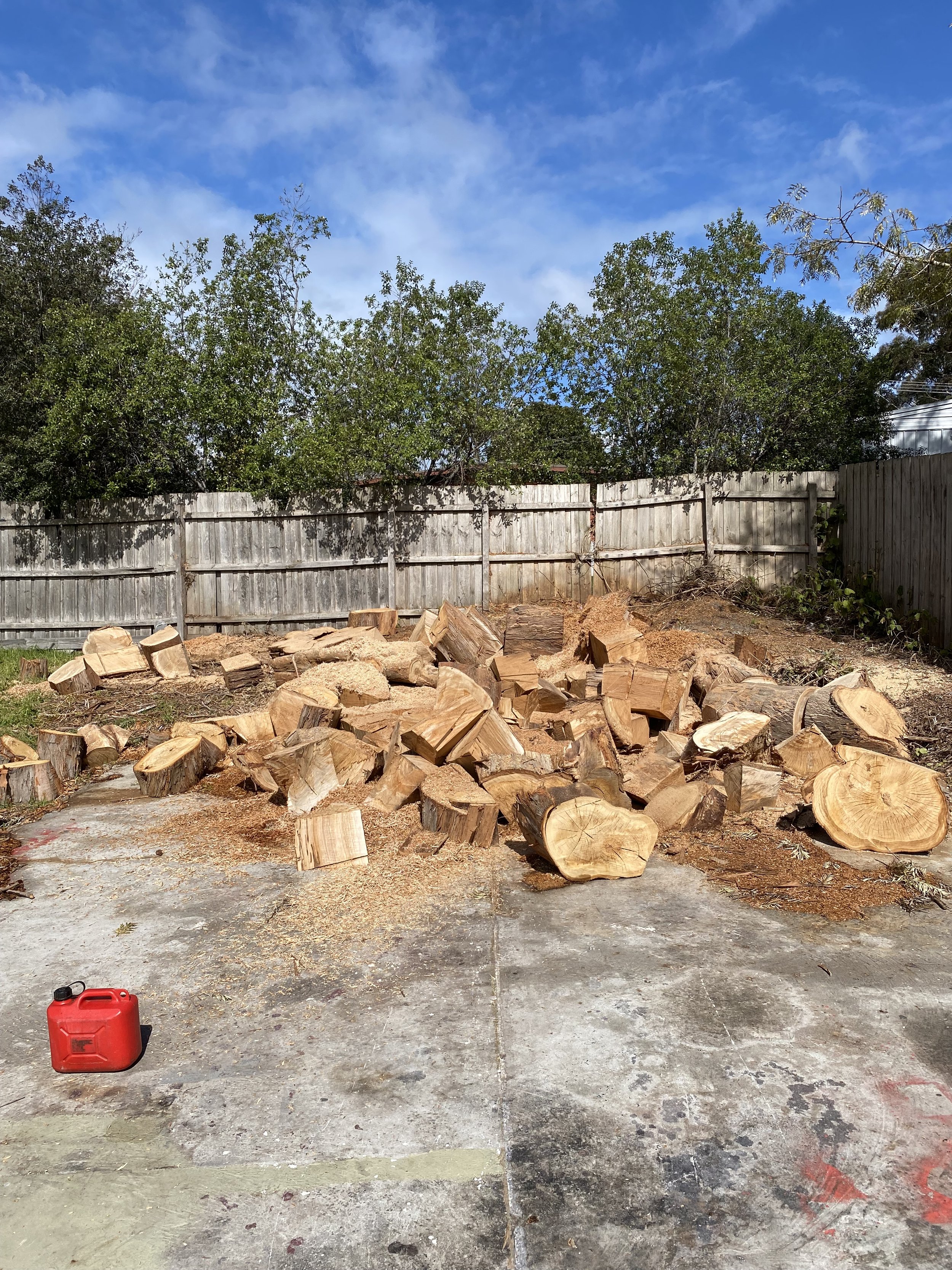 A backyard with chopped firewood on the ground and a wooden fence. A red gas can is on the concrete surface, and trees with a blue sky and clouds are in the background.