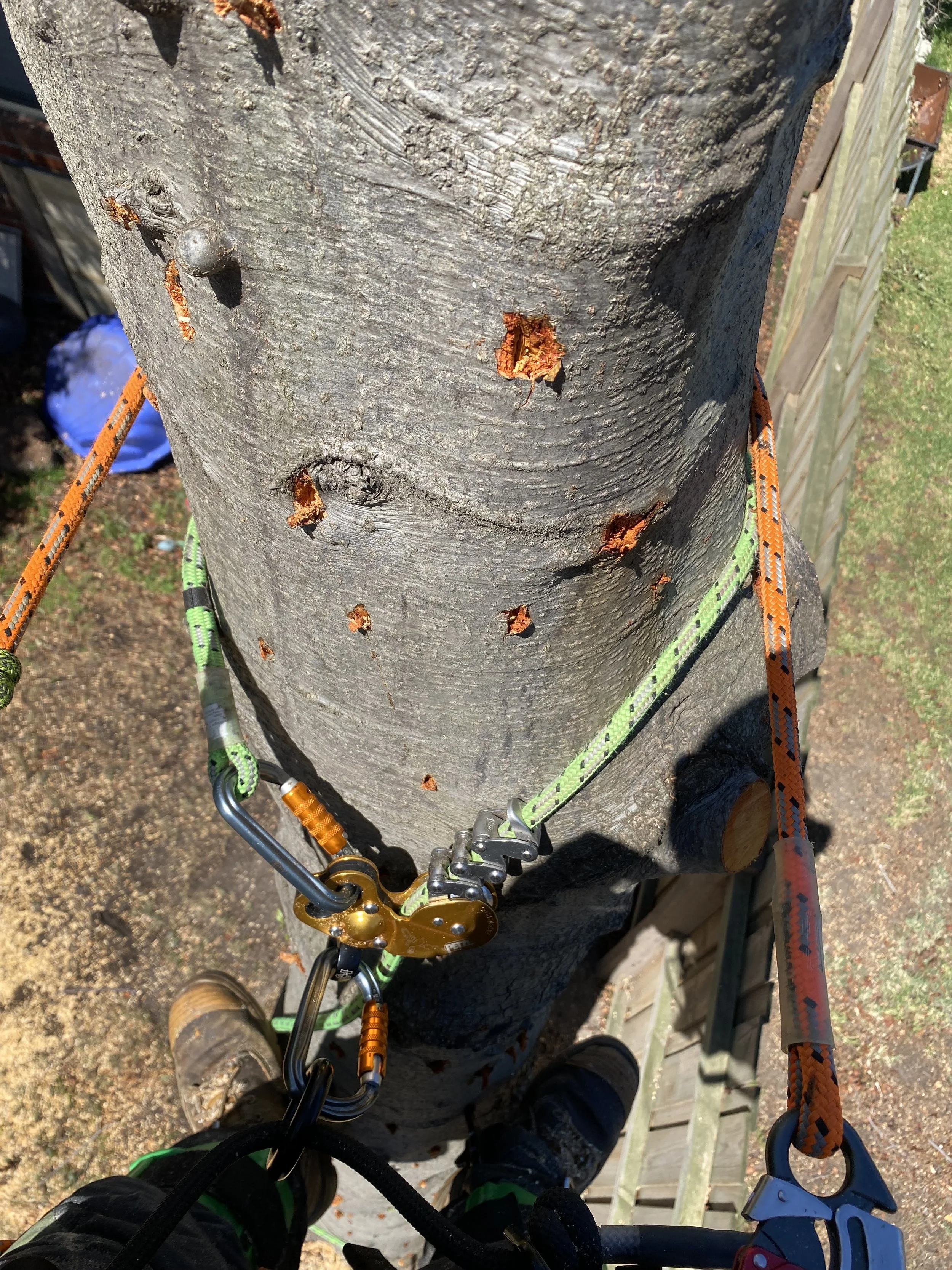 Looking down at a person climbing a wooden pole with climbing gear, including carabiners, ropes, and harnesses. The pole has multiple drilled holes and a small metal bolt.