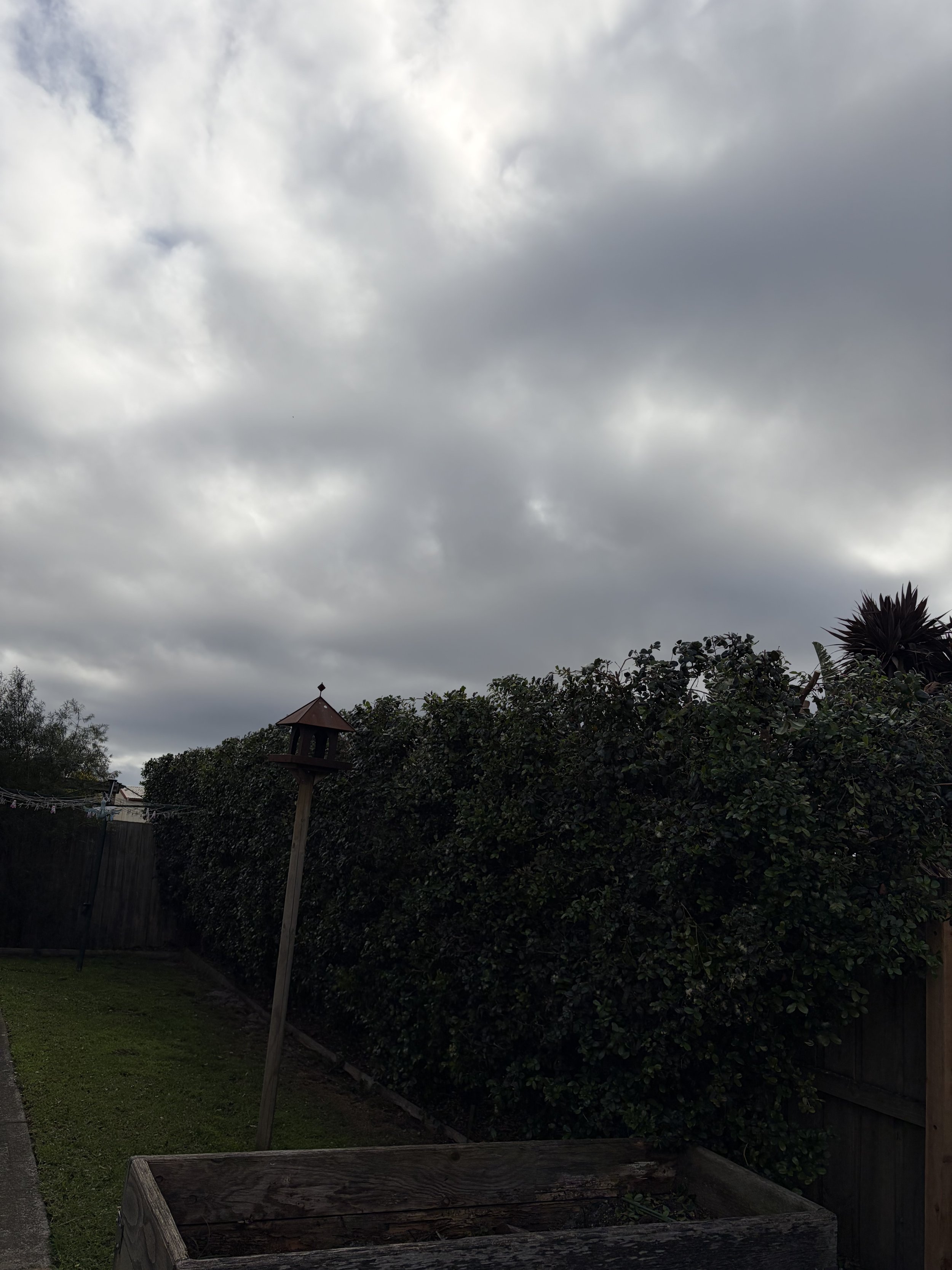 The image shows a cloudy sky over a backyard with trees, bushes, a garden bed, and a wooden birdhouse on a pole.