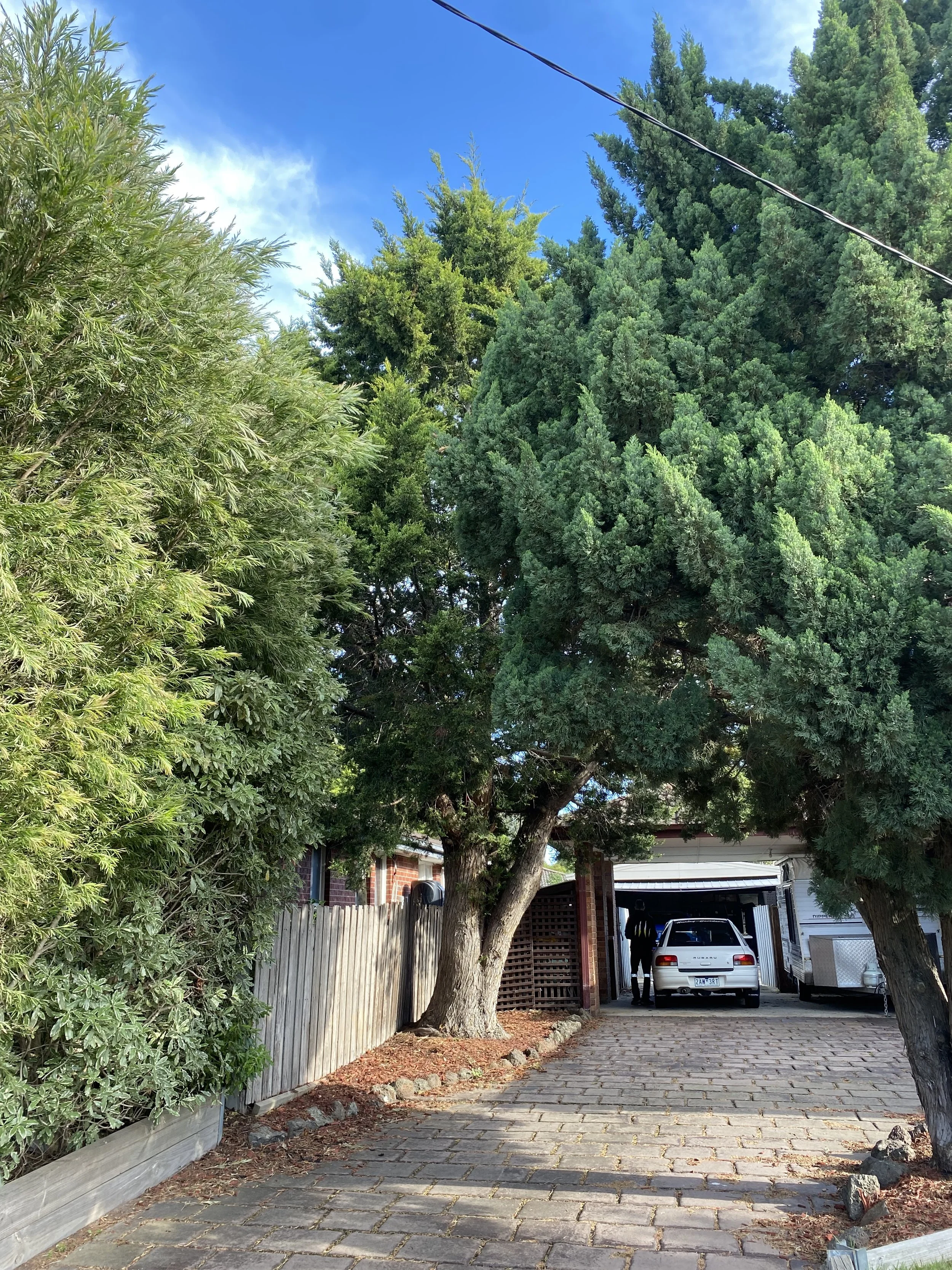 A driveway with large trees and green bushes on a sunny day, with a white sedan parked near a garage and a person standing nearby.