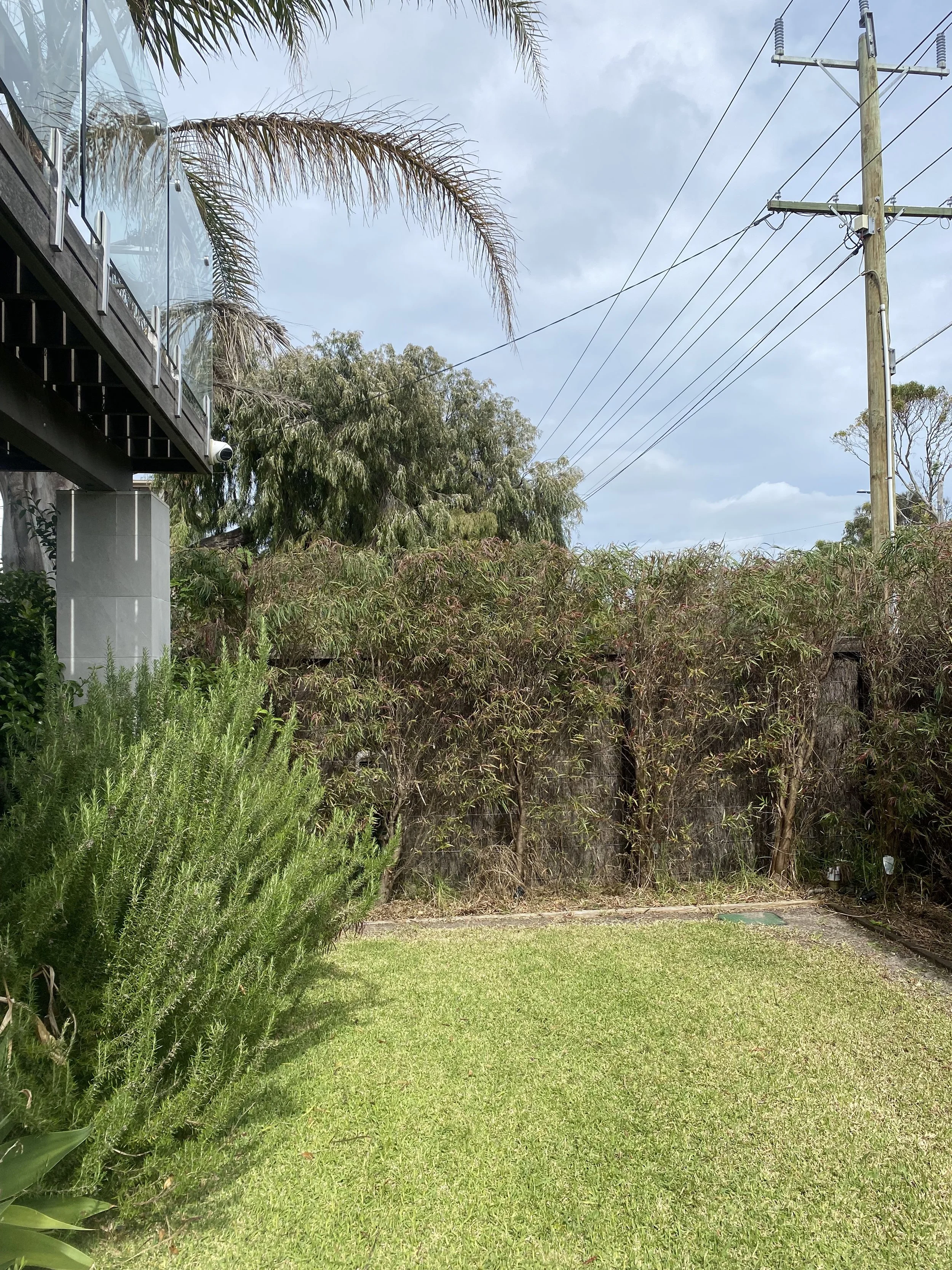 View of a grassy backyard, with bushes and trees, a wooden fence, and a utility pole with power lines under a partly cloudy sky.