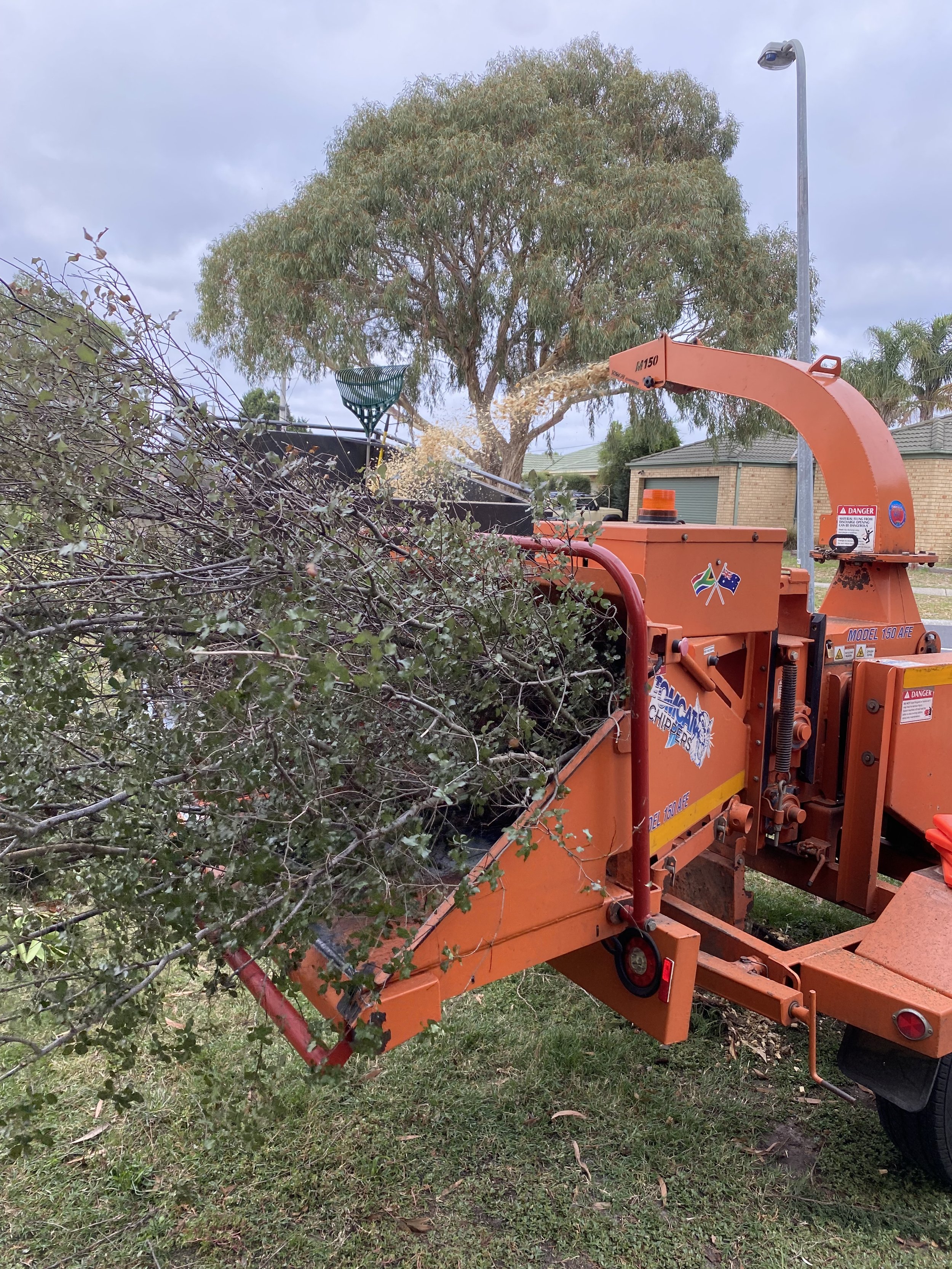 A wood chipper machine processing branches and leaves with a large tree in the background and a streetlight in a suburban area.