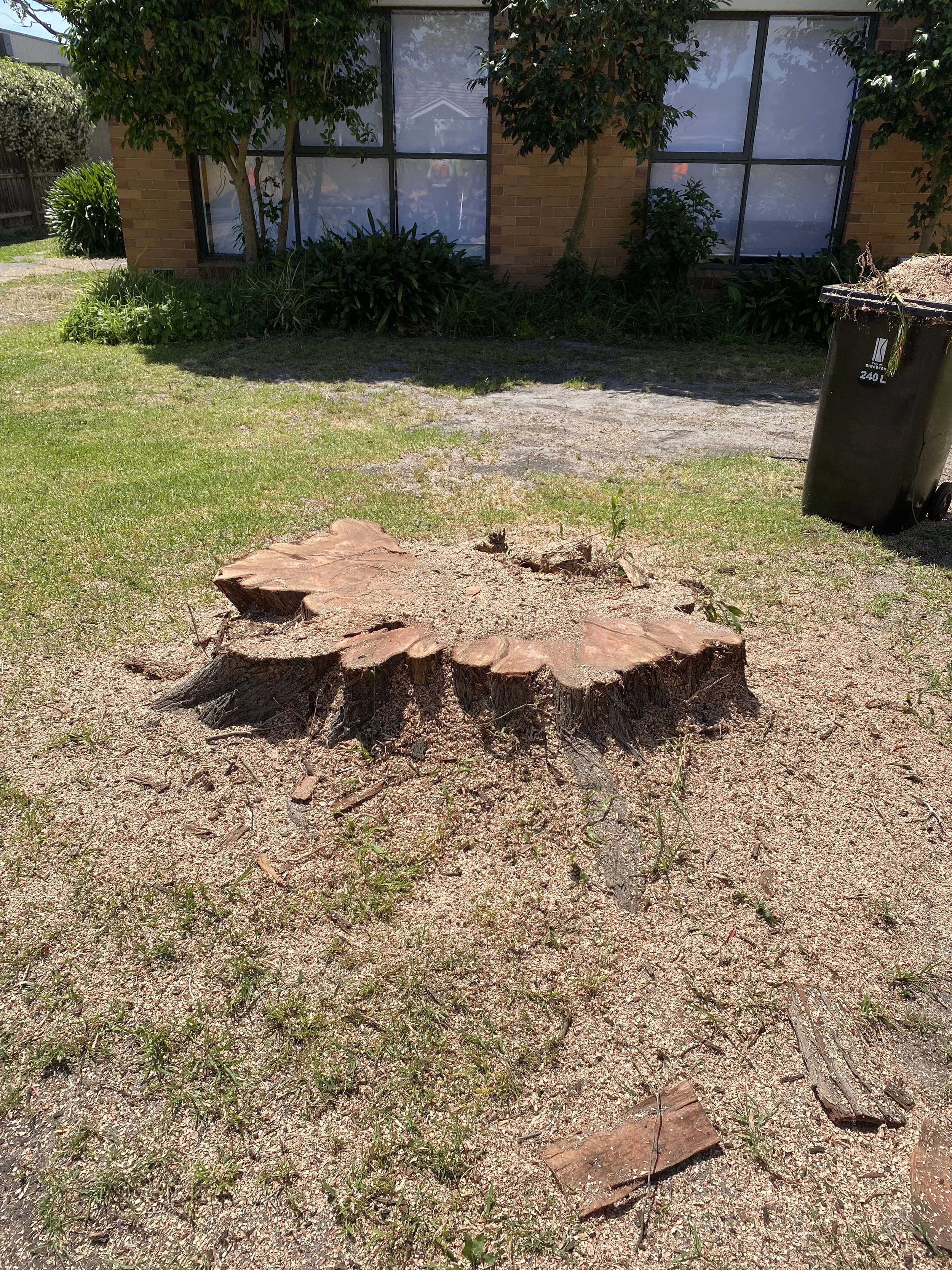 A tree stump in a grassy yard with a brick house and window in the background, alongside a trash can and some debris.
