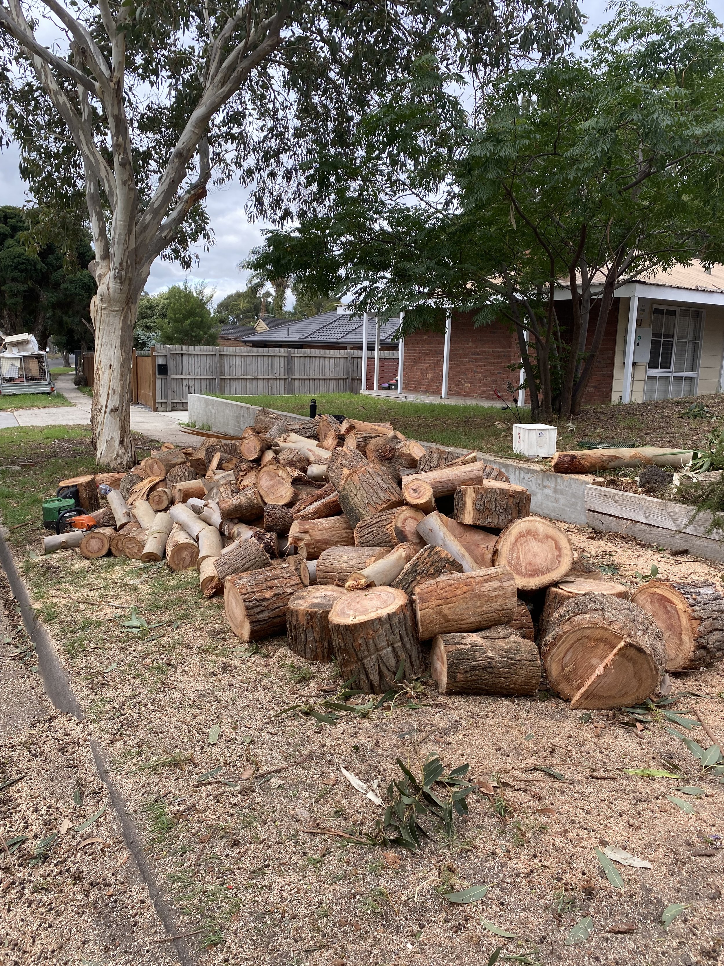 A pile of chopped firewood logs in a yard in front of a house, with trees and a sidewalk nearby.