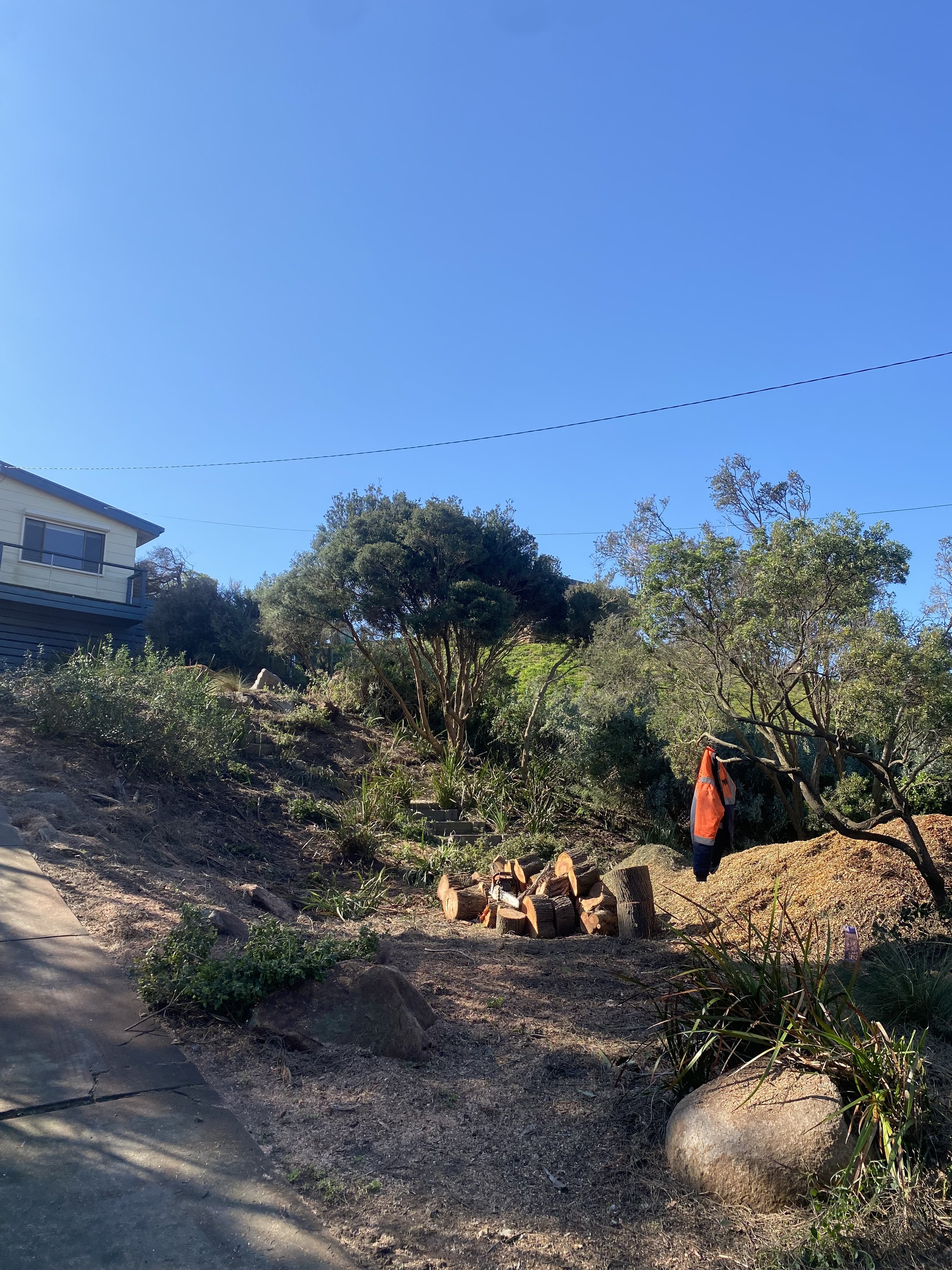A residential front yard with a soil slope adorned with trees and shrubs. There is a pile of cut logs in the foreground and a high-visibility orange jacket hanging on a tree. The photo is taken on a sunny day with a bright blue sky and a house partia