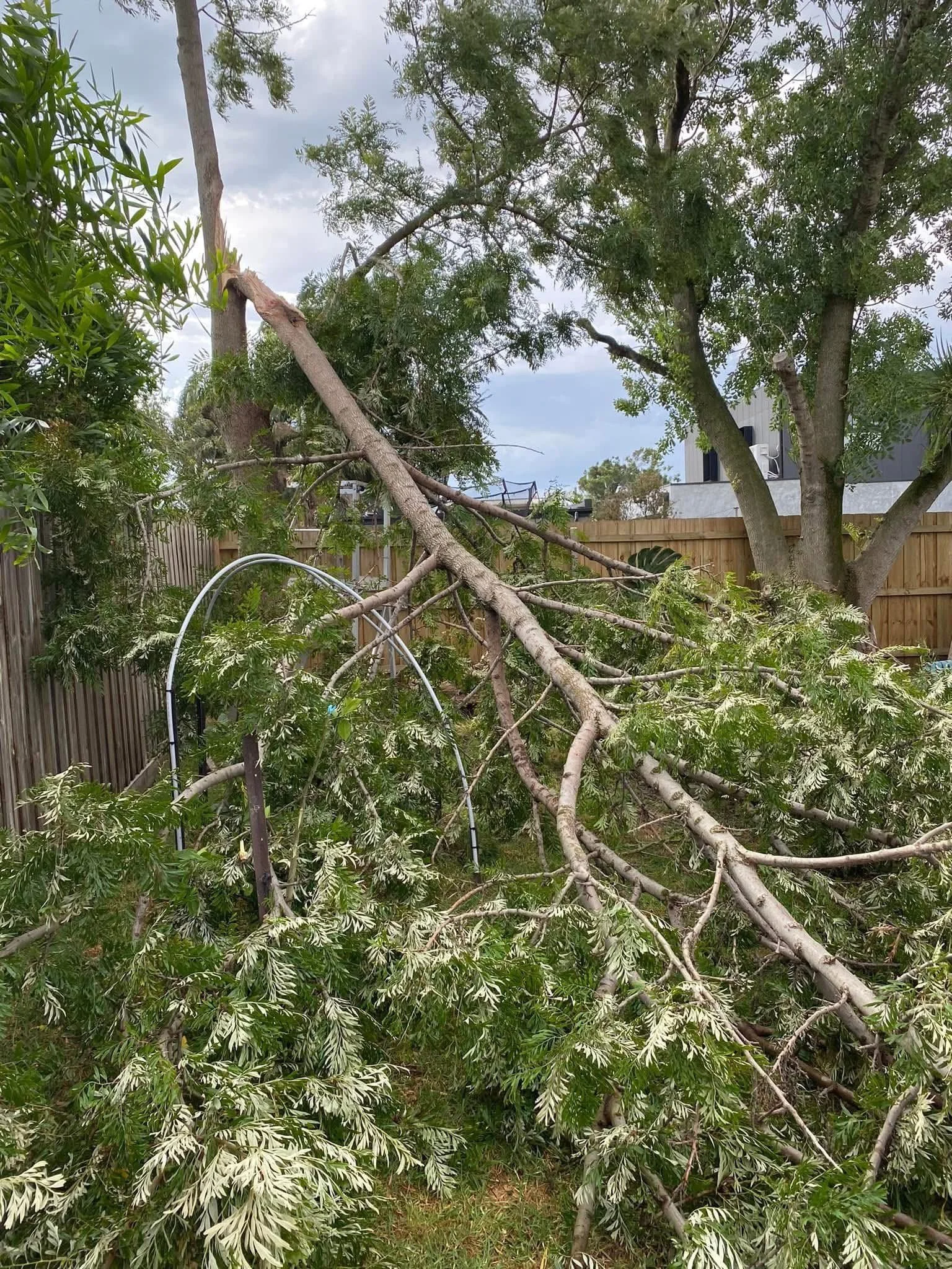 Fallen tree and broken branches in a backyard with a wooden fence and a partly cloudy sky.