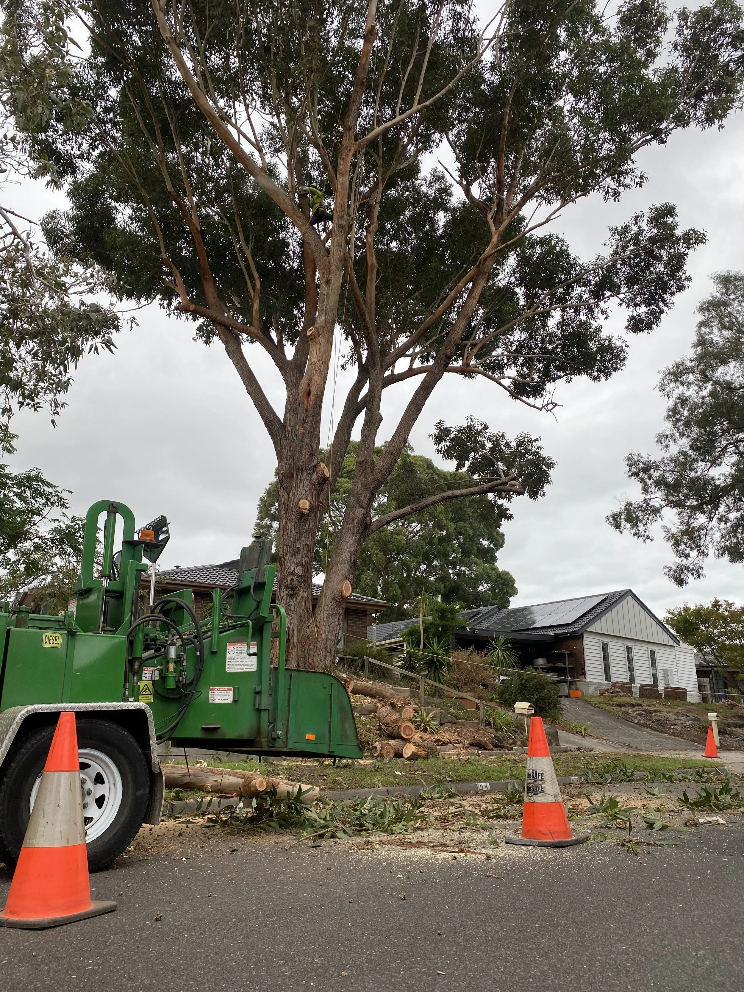 Tree trimming equipment blocking the road on a residential street with orange traffic cones, fallen branches, and tree debris on the ground, and houses in the background.