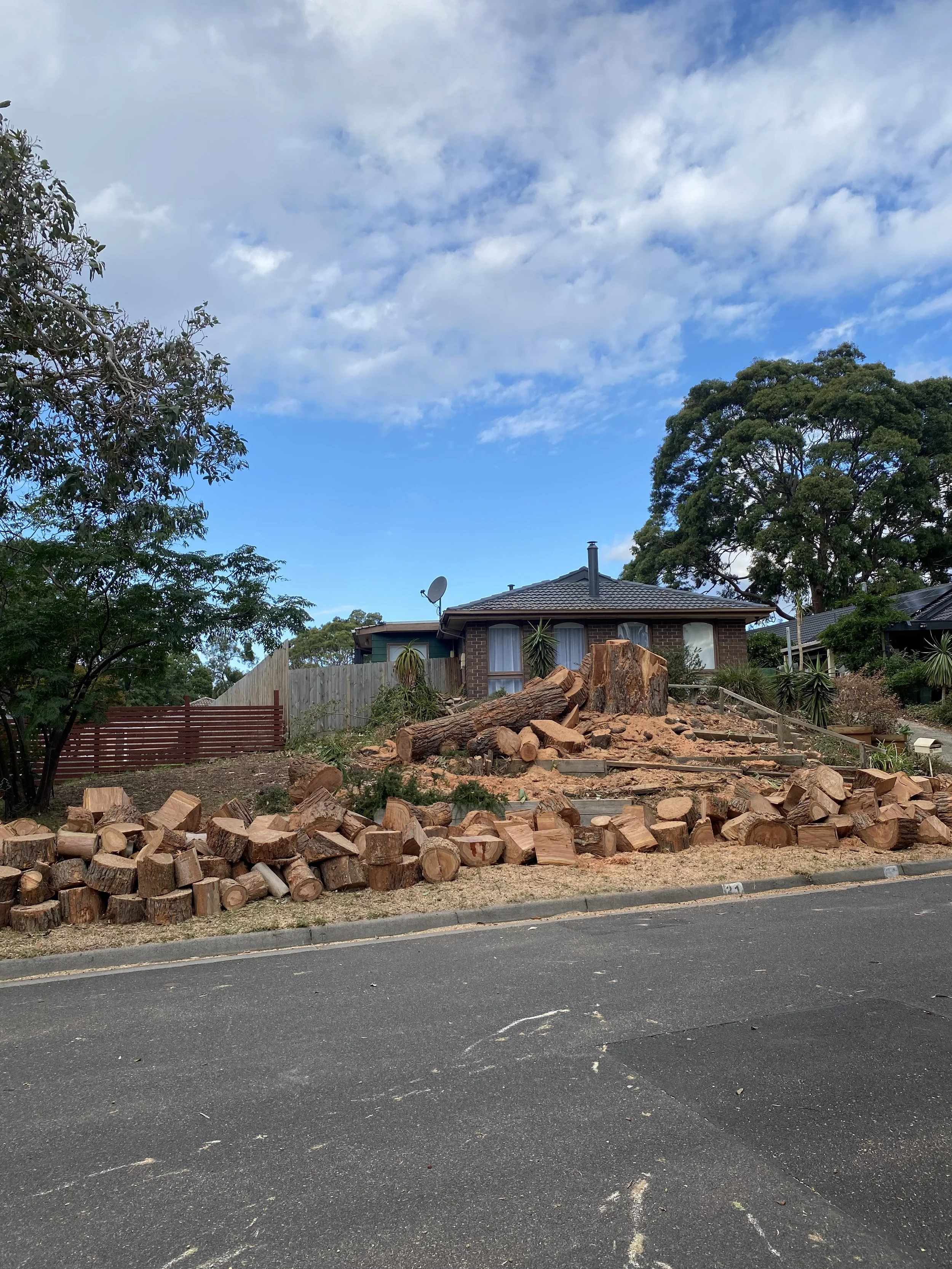 A residential backyard with cut firewood stacked along the sidewalk, a house with a tiled roof, trees, and a partly cloudy sky.