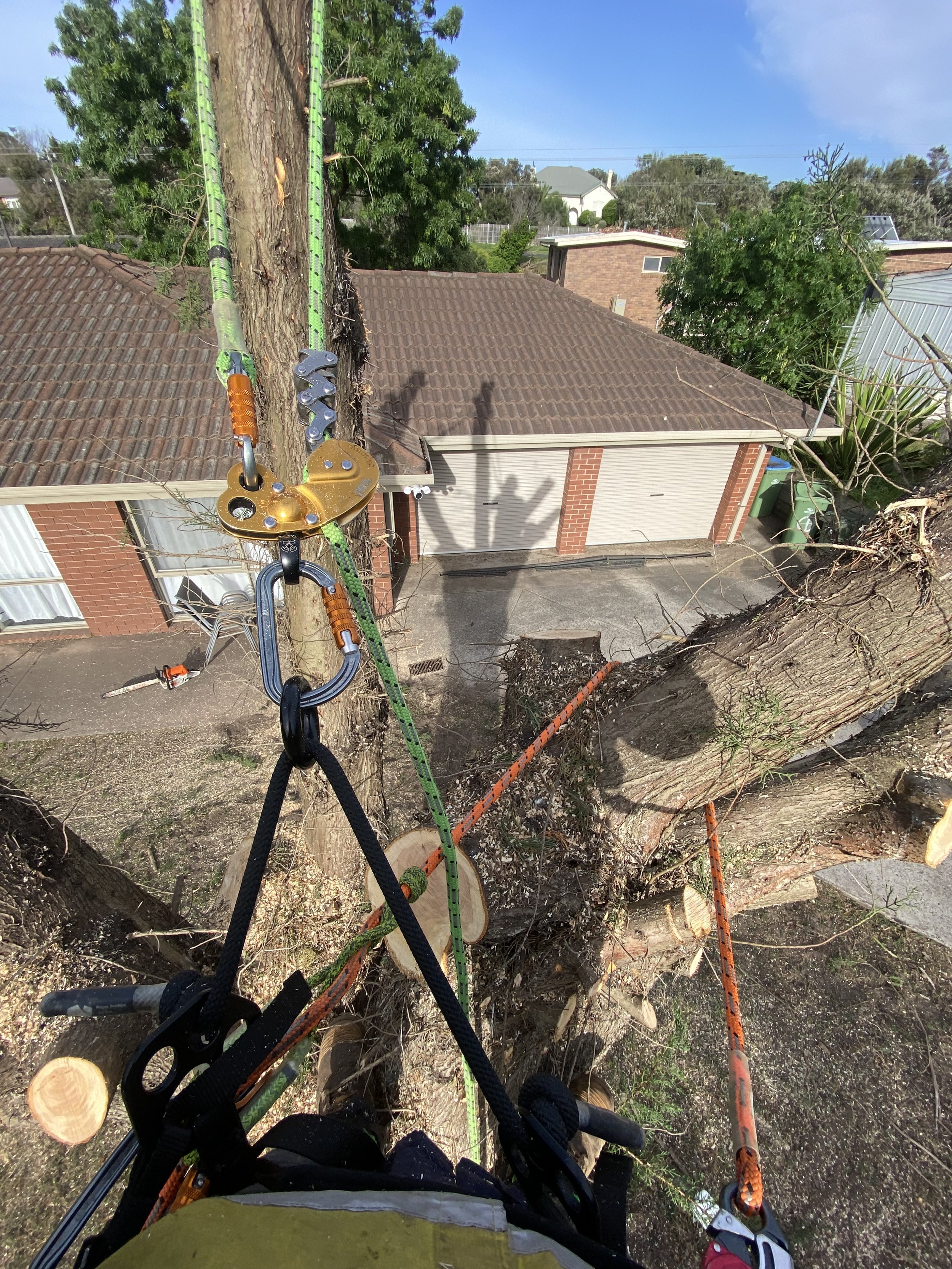 View from a tree climber's harness looking down at the ground with tree branches and residential houses with roofs, garages, and trees in the background.