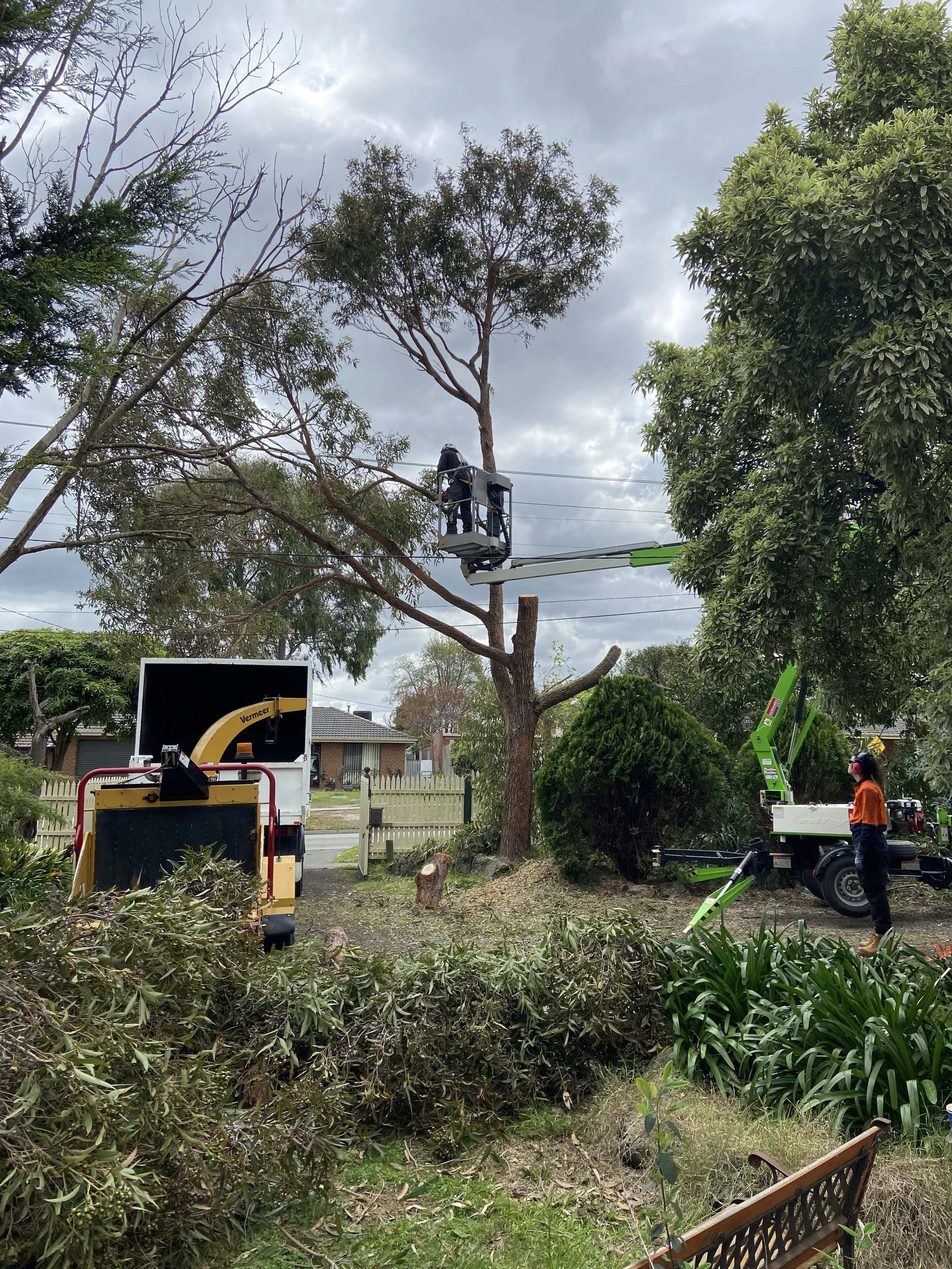 Workers trimming trees using a lift in a residential neighborhood on a cloudy day.