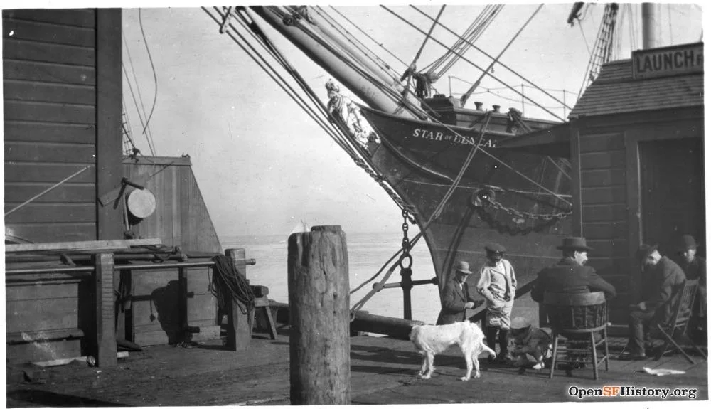 Black-and-white photo of a dock with a ship named 'Star of the Sea' docked, people sitting and standing near the water, two dogs, and wooden structures around.