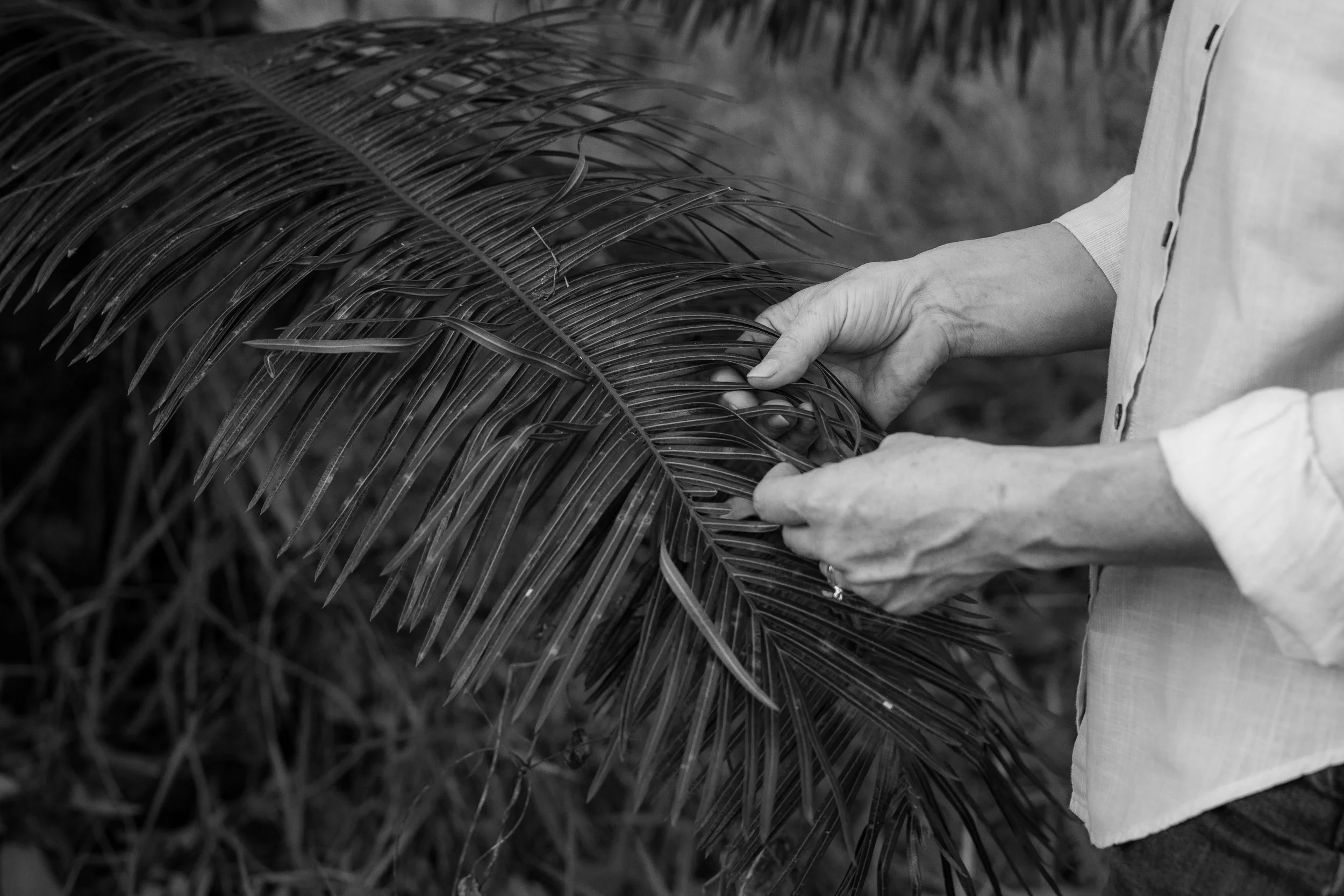 Barbara Ann gathering botanical foliage outdoors as part of her surface pattern design process.