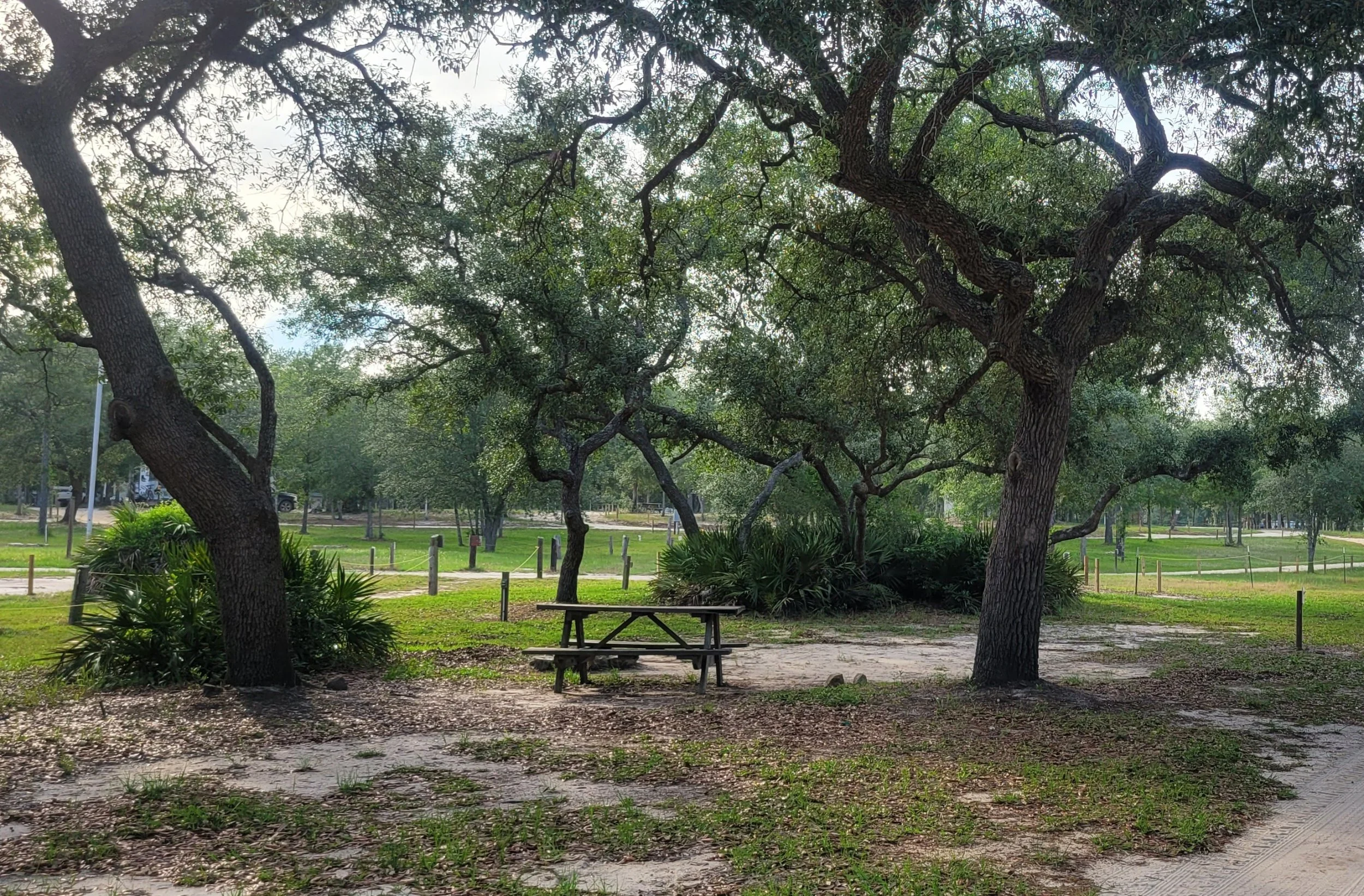 A peaceful park with several trees, a wooden picnic table, and a grassy landscape with pathways.