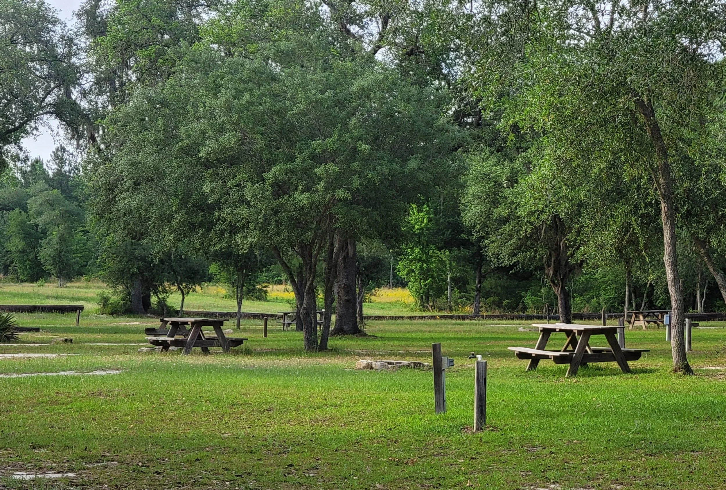 A park with green grass, large trees, and picnic tables, with a cloudy sky overhead.