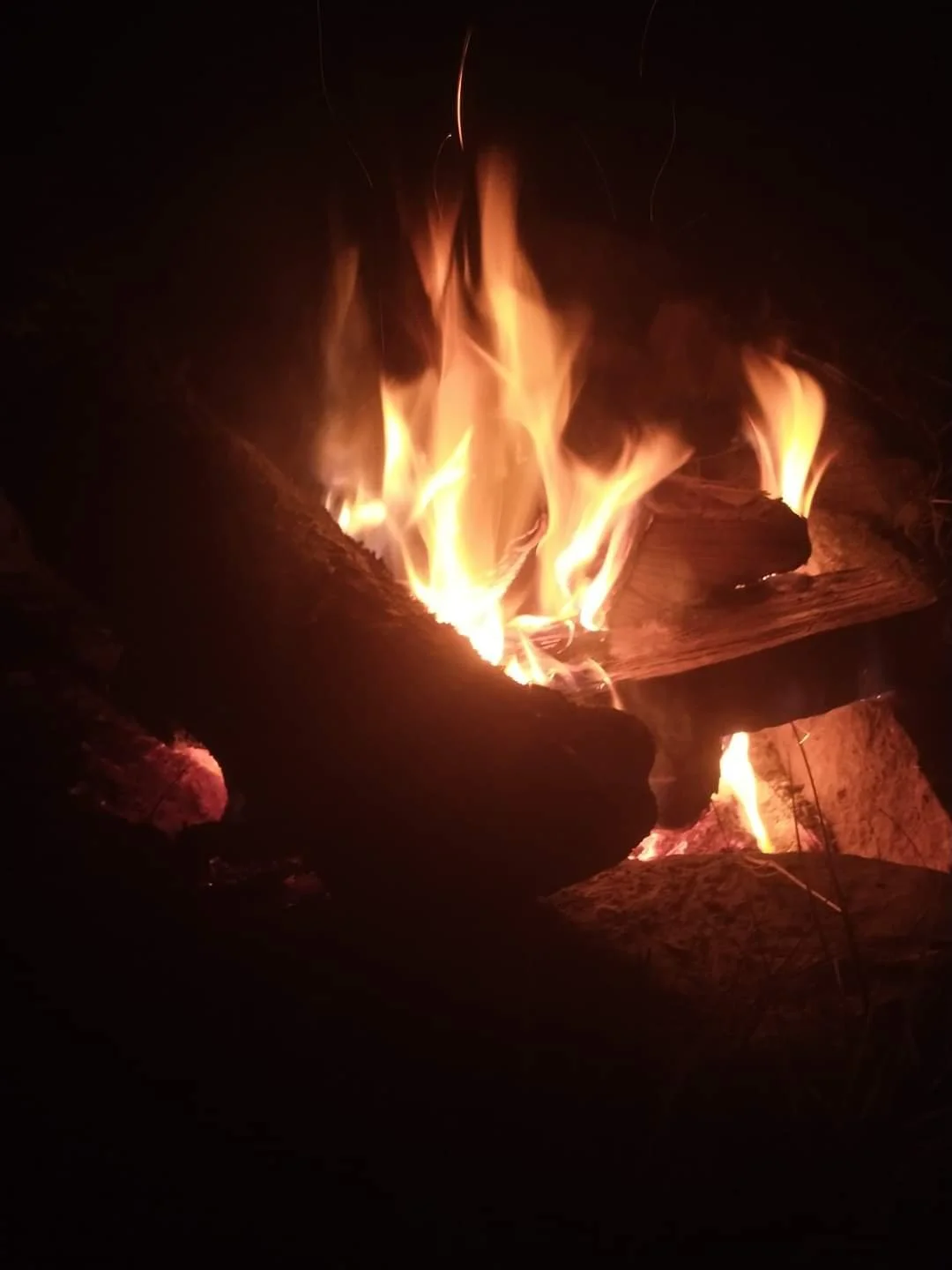 A campfire with burning logs and orange flames at night.