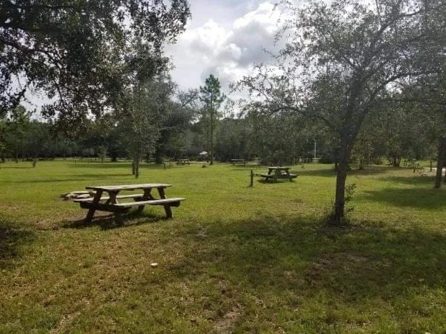 A park with multiple picnic tables and trees, under a partly cloudy sky.