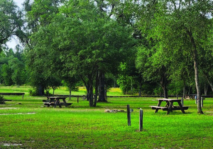 A park with green grass, trees, and several picnic tables.