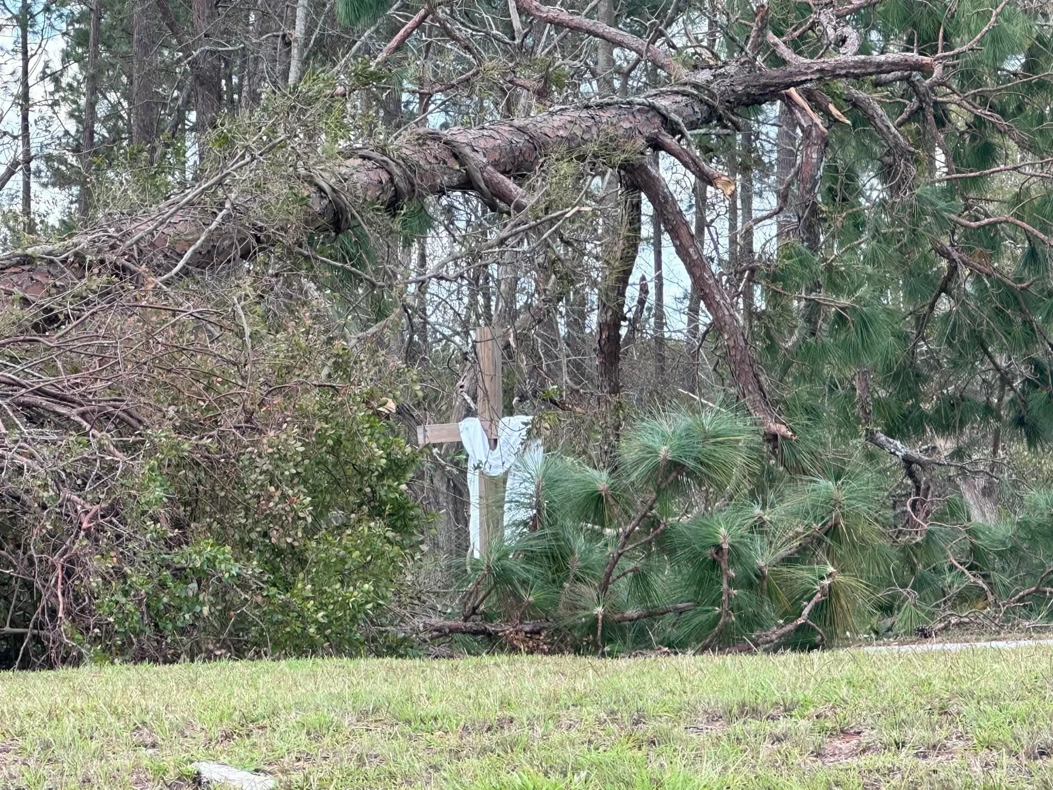 A cross stands untouched  surrounded by downed trees from Hurricane Helene.