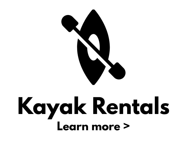 Kayak Rentals