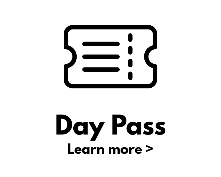 Day Pass