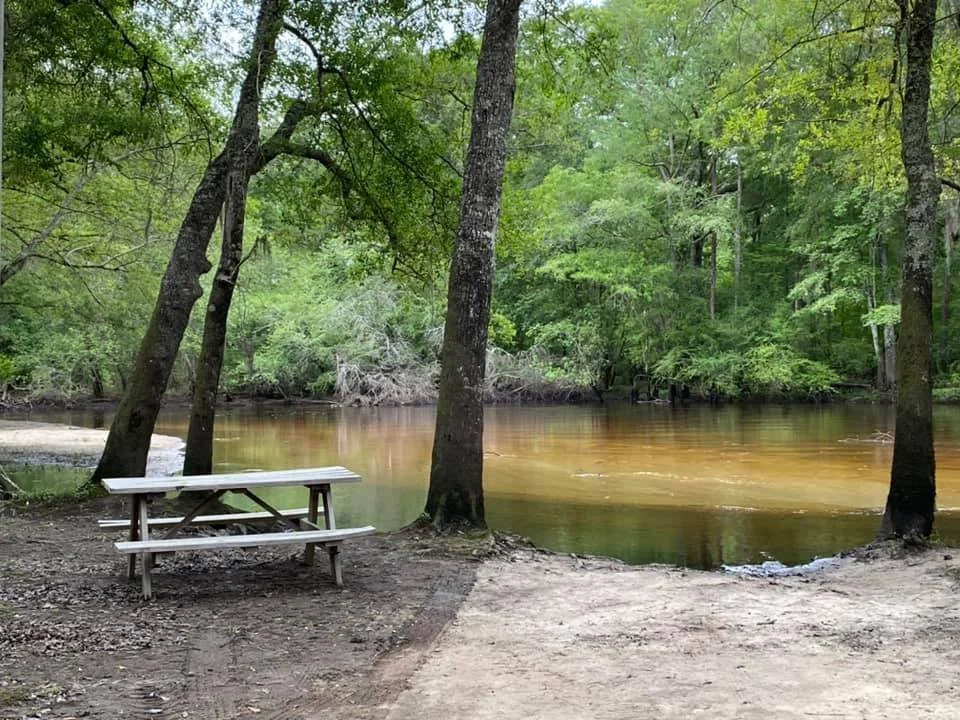 A peaceful river scene in a wooded park with a picnic table on dirt ground and green trees surrounding the water.