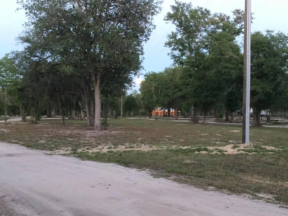 A dirt road runs through a park with scattered trees and patches of grass, and power poles line the area. A building with orange lighting is visible in the distance.