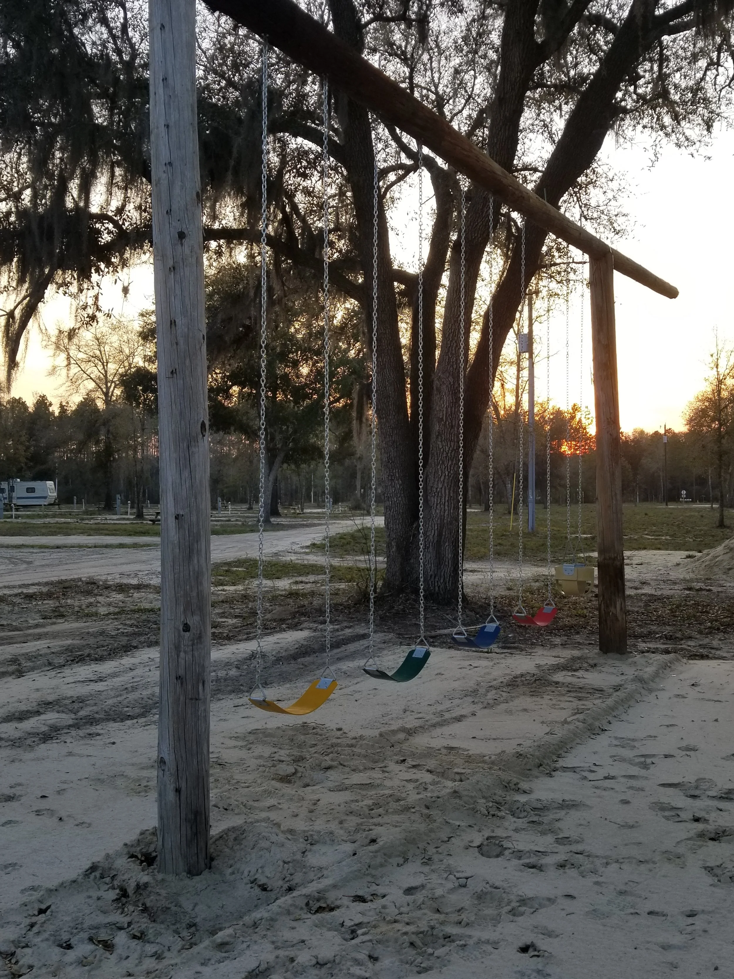 Empty swings set hanging from a wooden frame at a playground during sunset, with trees and dirt ground in the background.