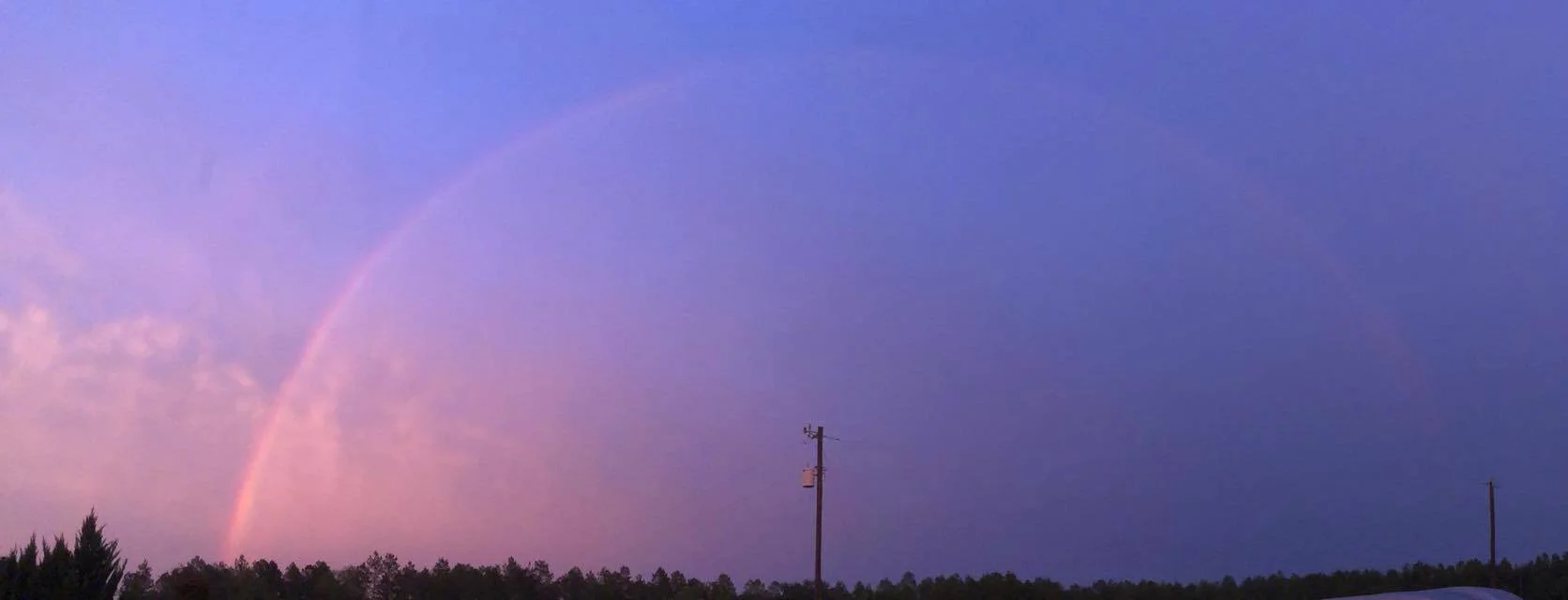 A double rainbow in a purple sky over a rural landscape with trees and utility poles.