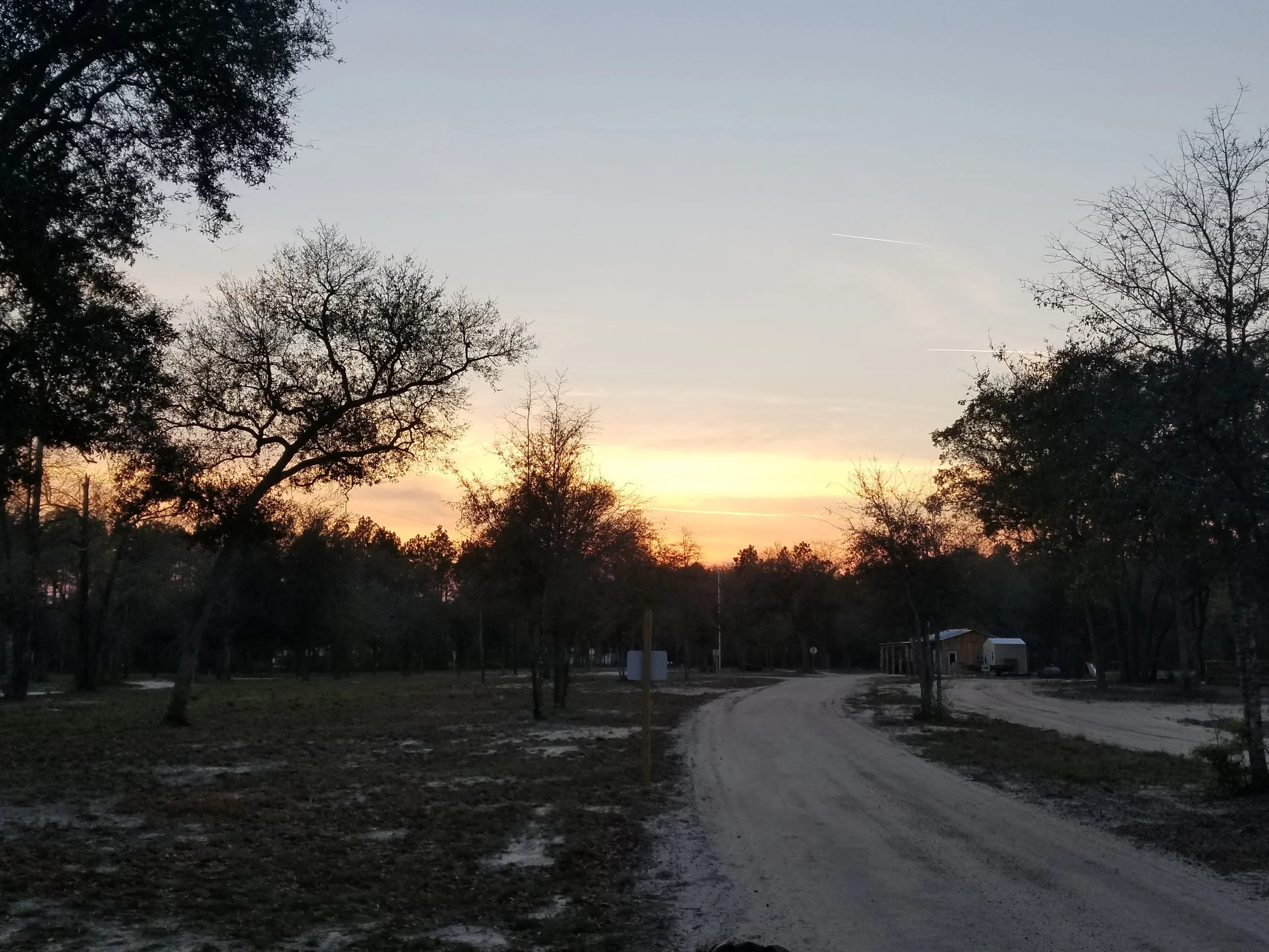 A dirt road winding through a rural area with trees at sunset, with a small building on the right side of the road.
