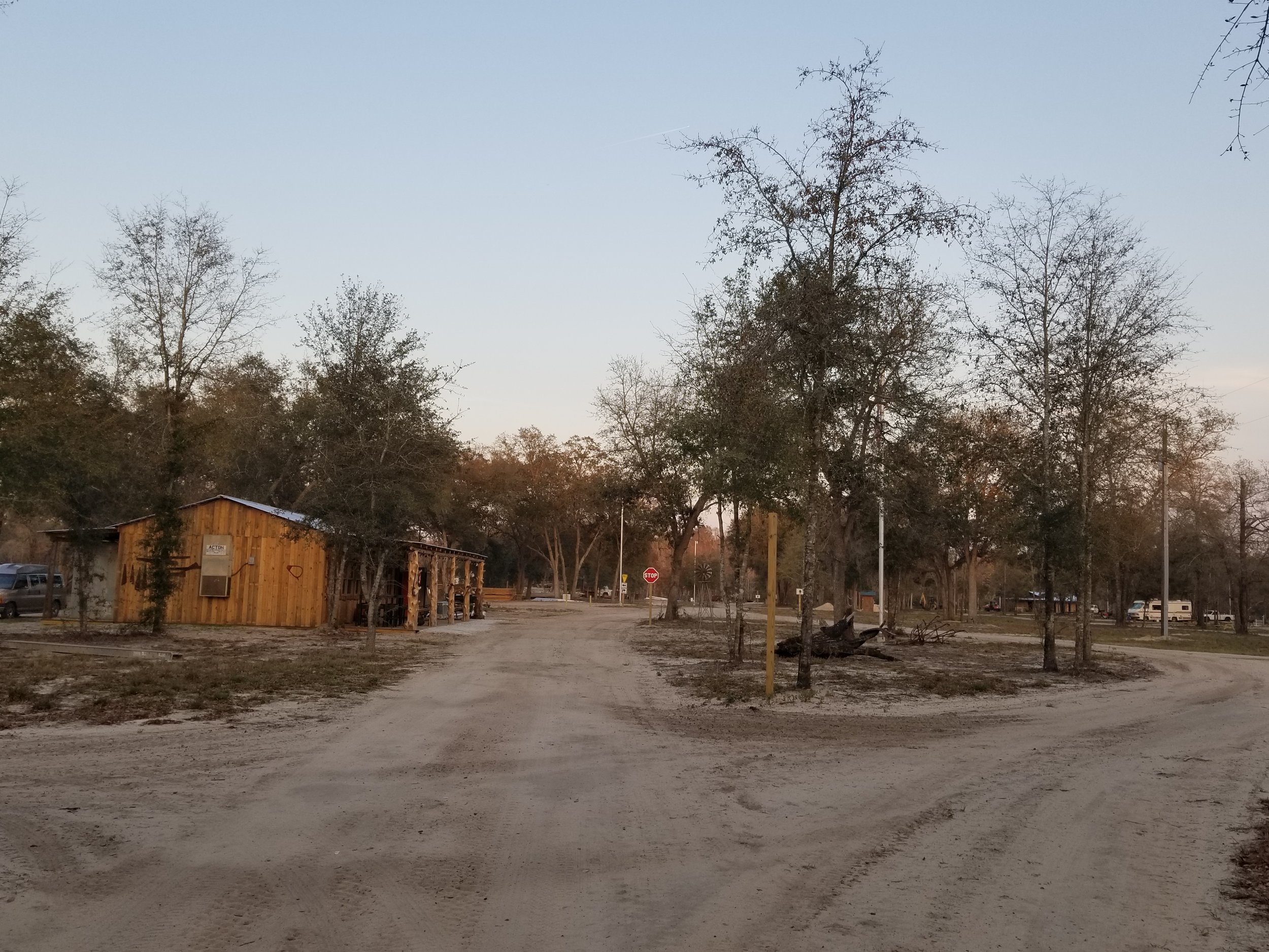 A dirt road diverges around a small wooded area with leafless trees, a wooden building on the left, and a stop sign at the intersection, under a clear sky.