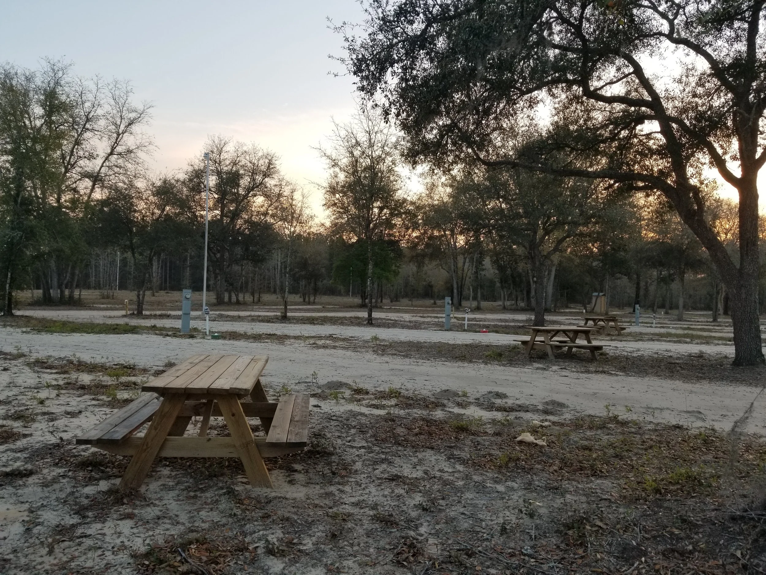 Empty outdoor park area with picnic tables, trees, and electrical outlets at sunset