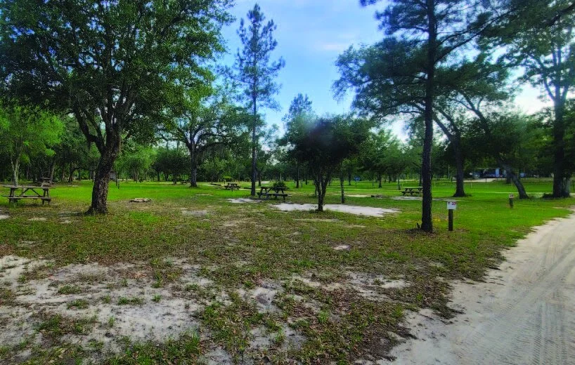 A park with several picnic tables, green grass, and tall trees under a partly cloudy sky.