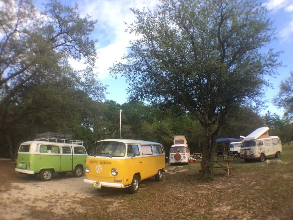 A group of colorful vintage Volkswagen camper vans parked under large trees on a grassy area.