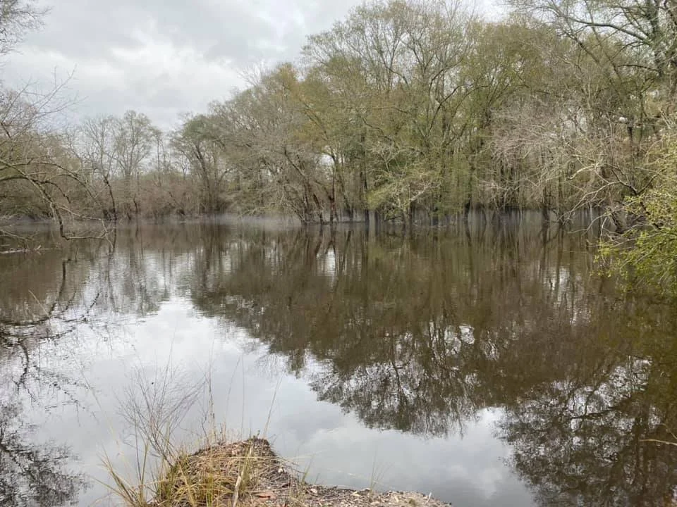 A river with trees along the banks, reflected in the water, under a cloudy sky.