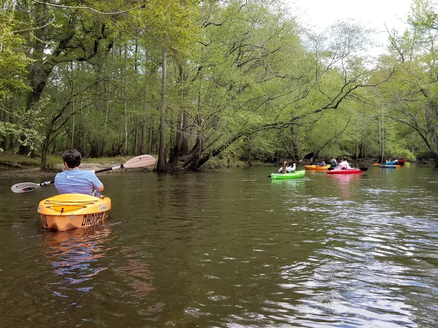 A group of people kayaking down a river with lush green trees on both sides, during daytime.
