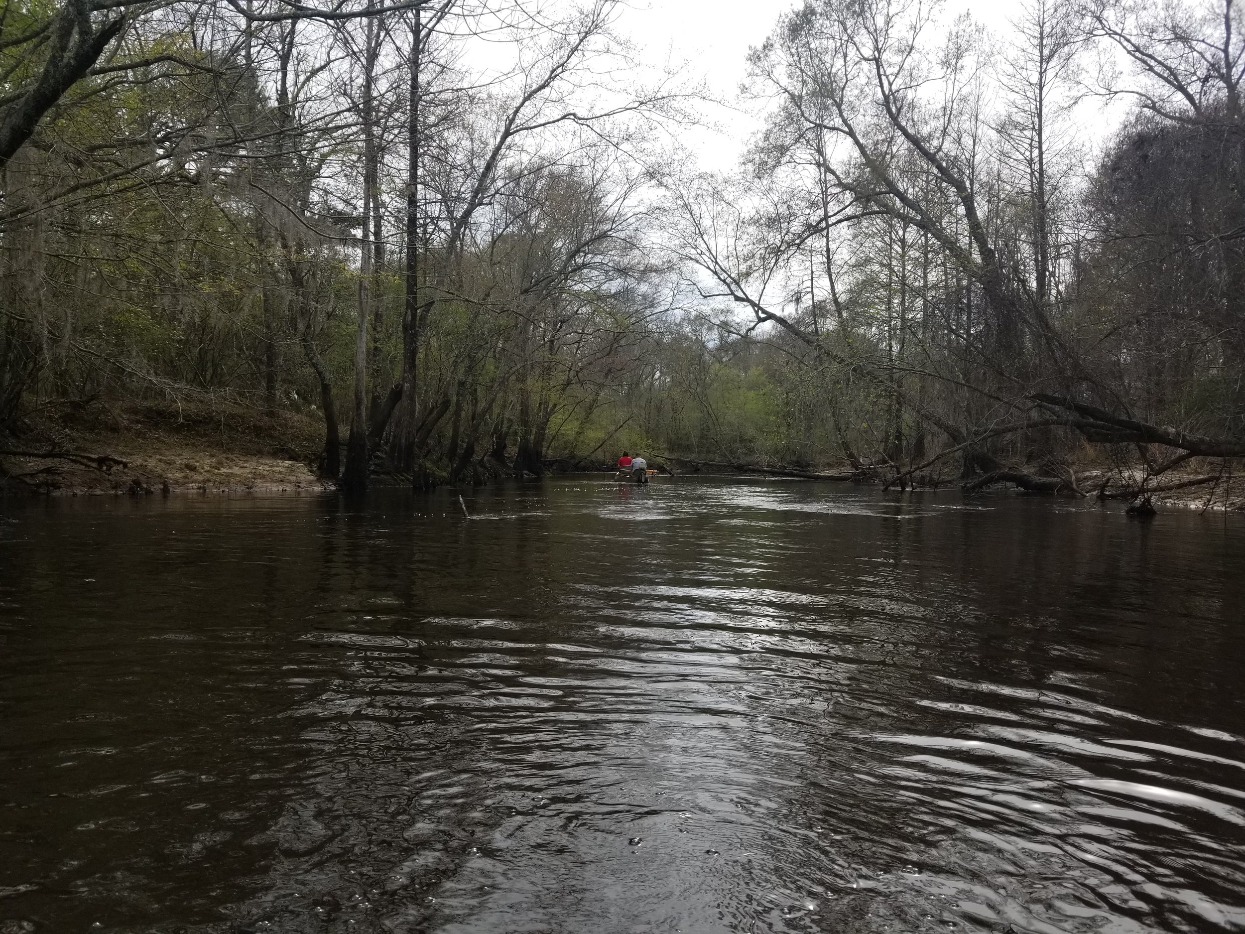 A calm river flowing through a wooded area with trees on both sides, some leaning over the water, during what appears to be early spring or late fall.