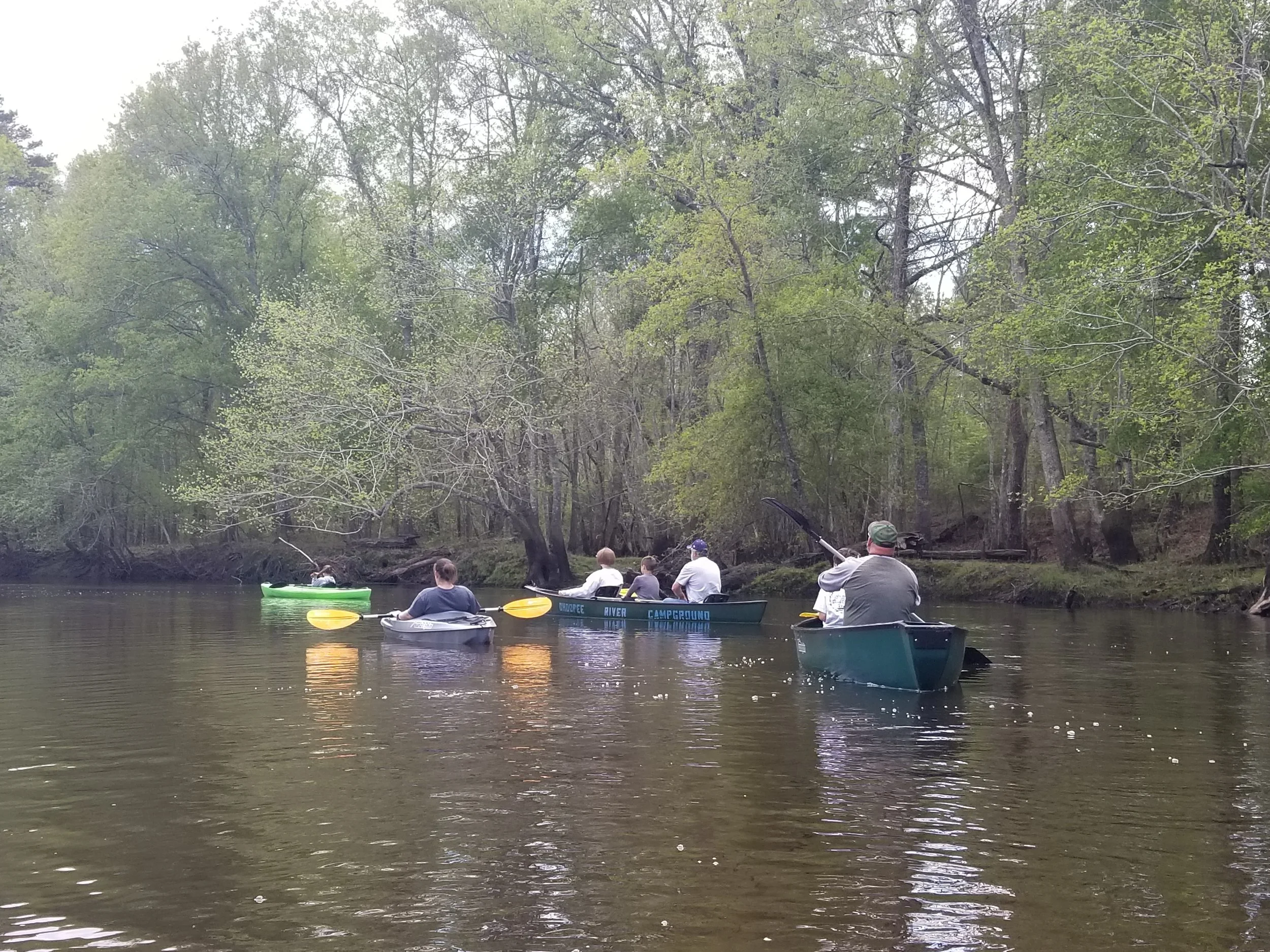 People kayaking and canoeing on a river surrounded by trees.