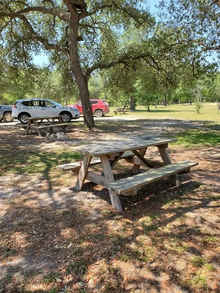 Wooden picnic table outdoors in a park with trees, with parked cars in the background.