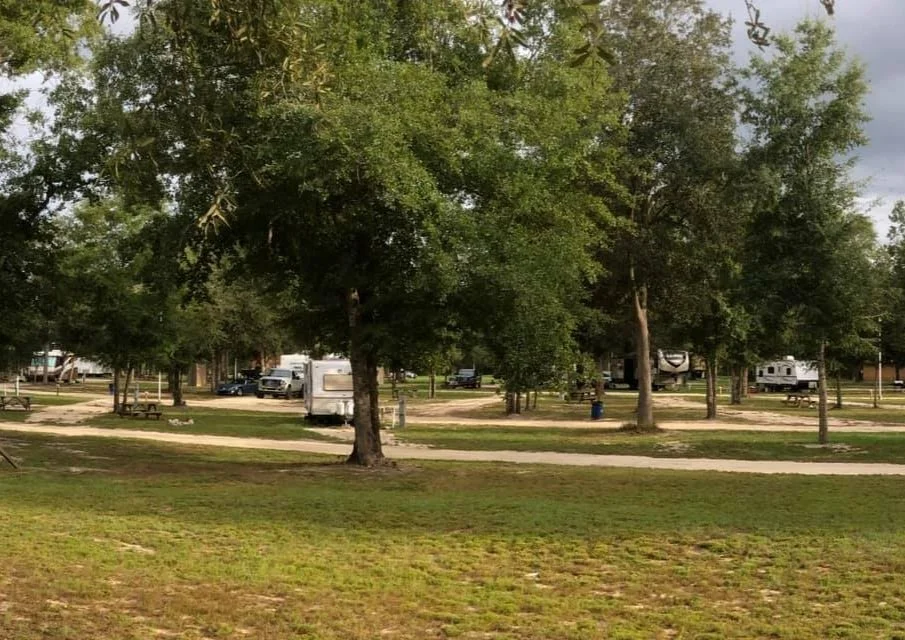 A campground with trees, parked RVs, and a dirt path in a grassy area.