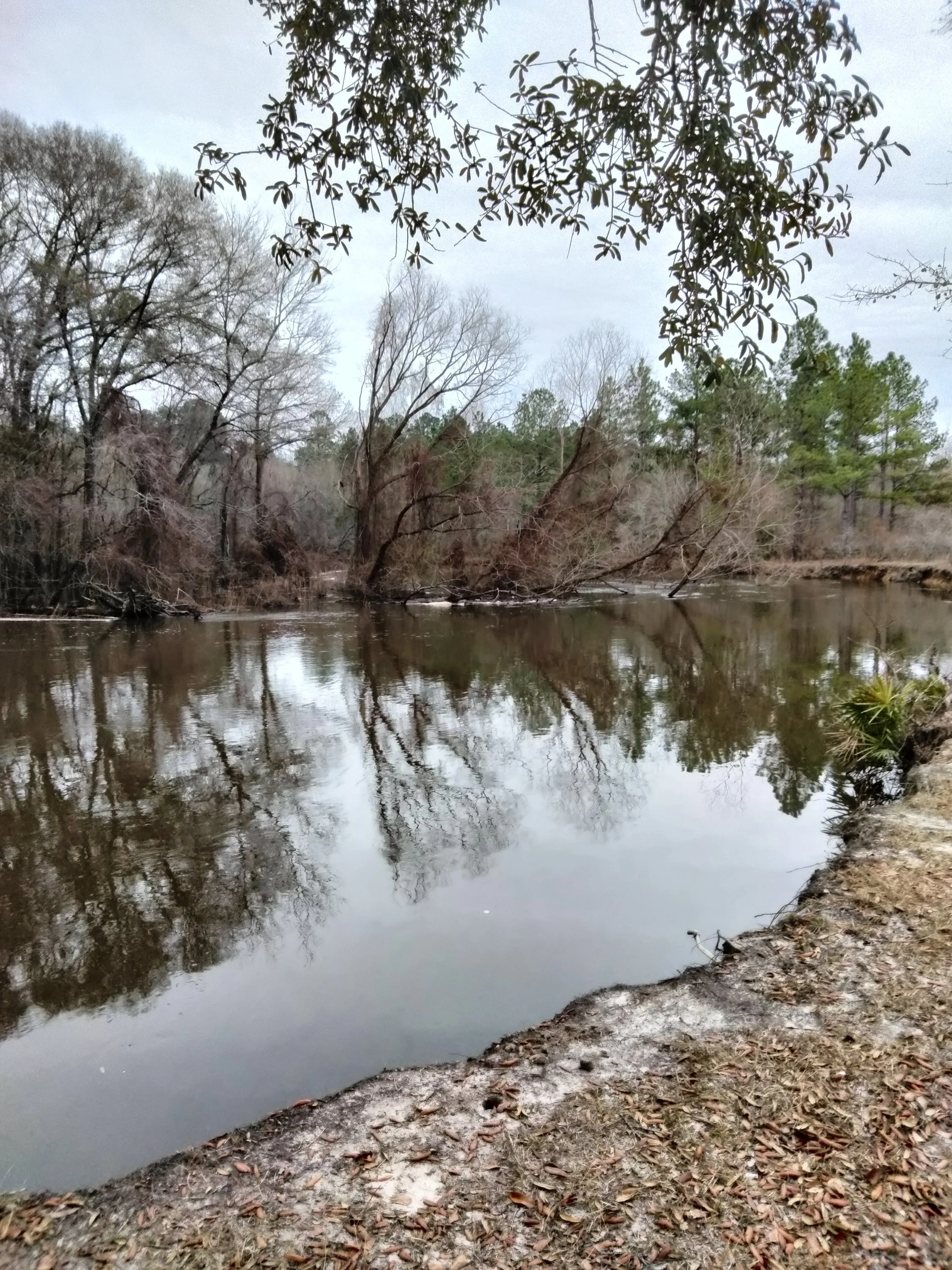 A Fall Day on the Ohoopee River