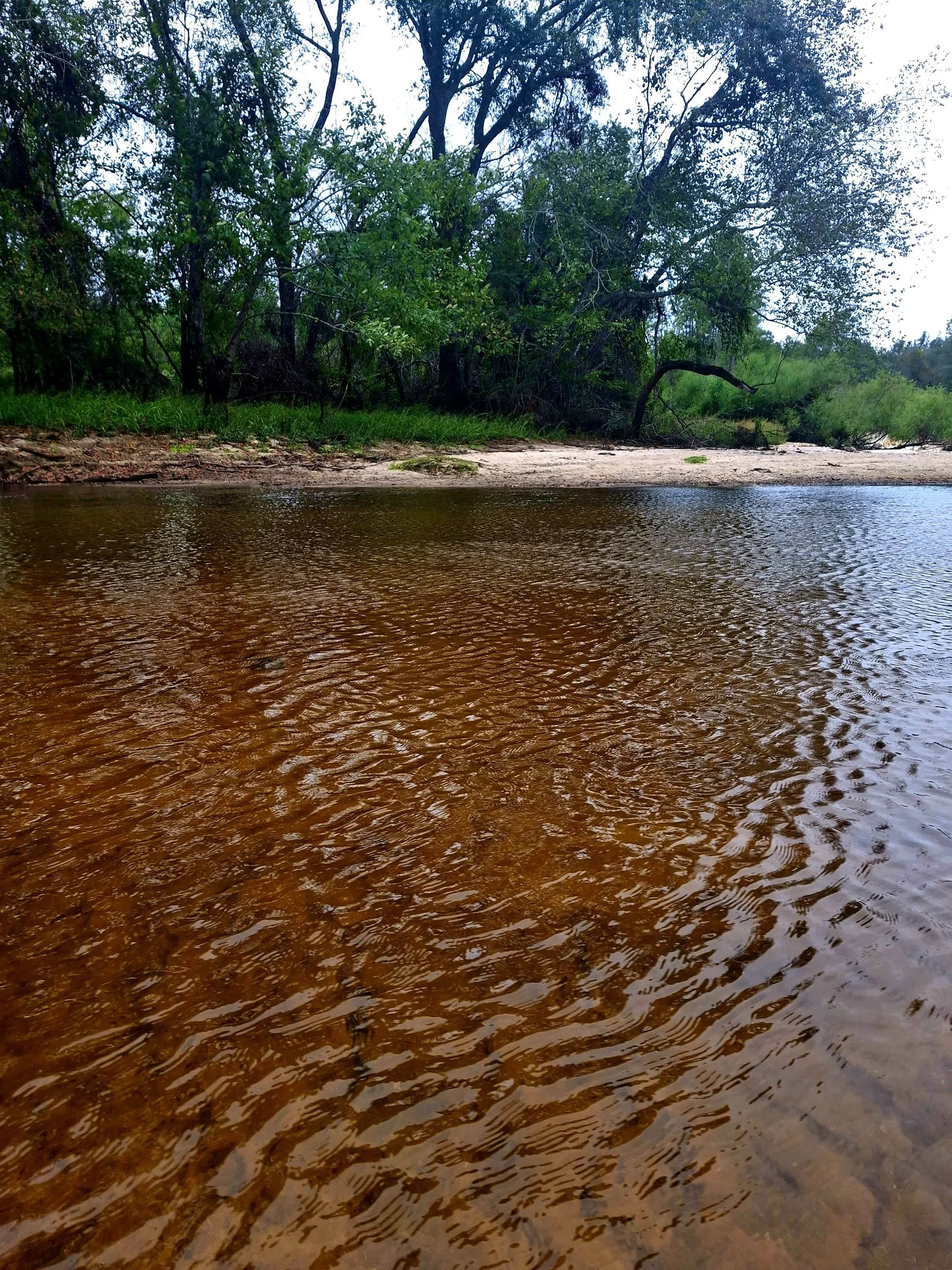 Fishing the Ohoopee River: Bream, Bass and Catfish