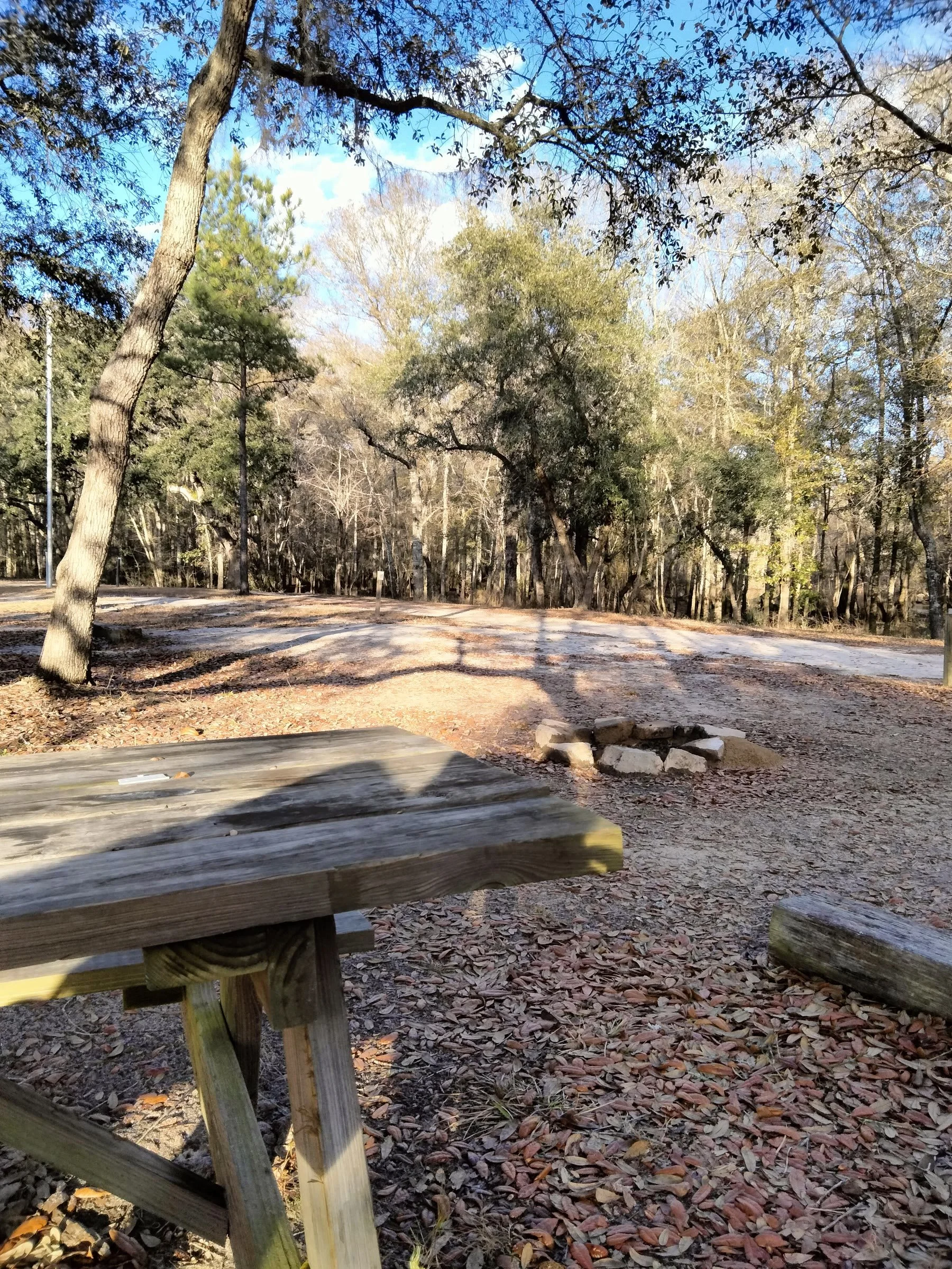 First Time Camping? Start With a Tent Site