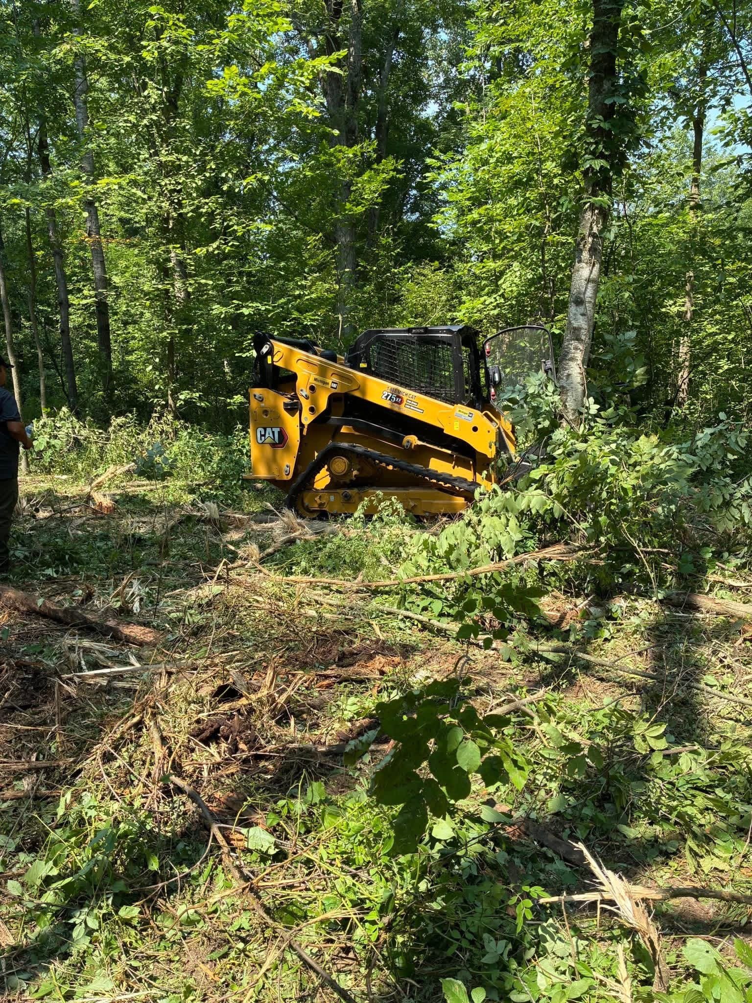 A yellow Caterpillar compact track loader working in a wooded area, clearing fallen branches and debris among dense green foliage.