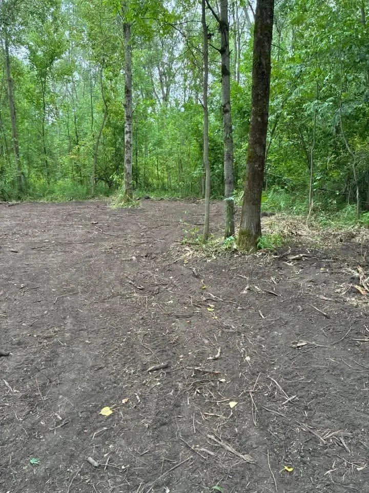 Clear dirt trail in a green forest, with trees and foliage in the background.