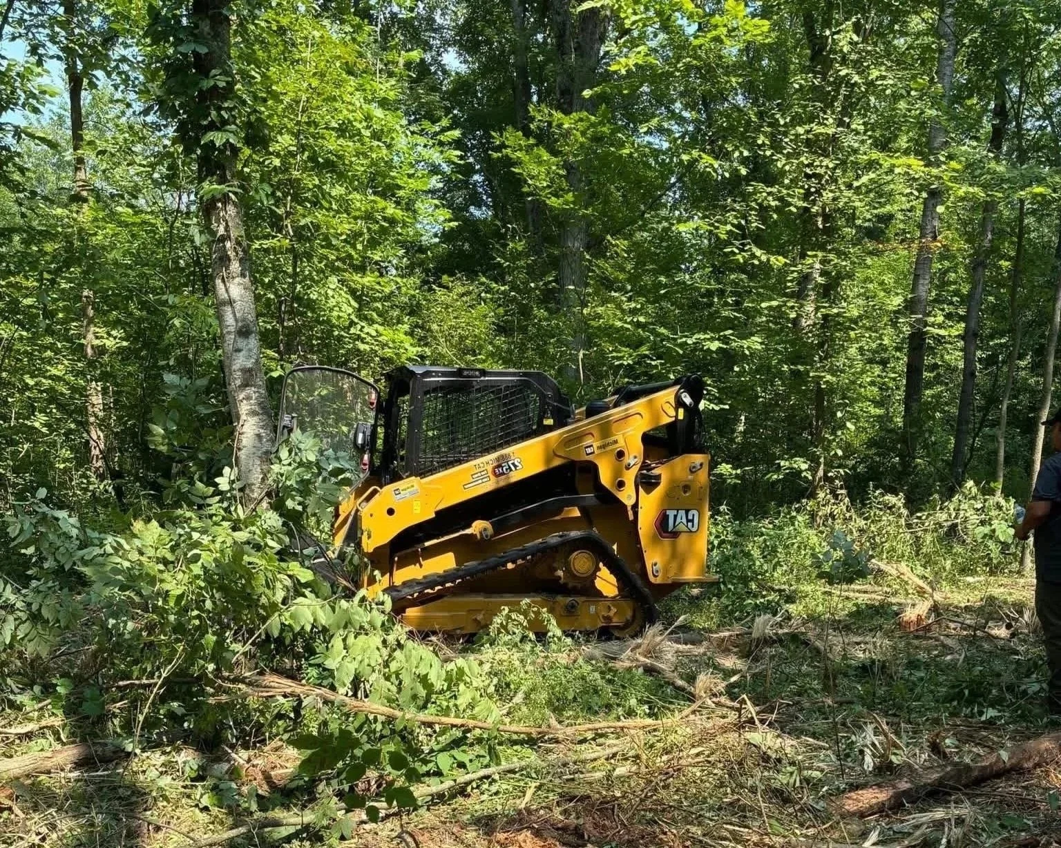A yellow tracked forestry mulcher clearing trees and brush in a dense wooded forest.